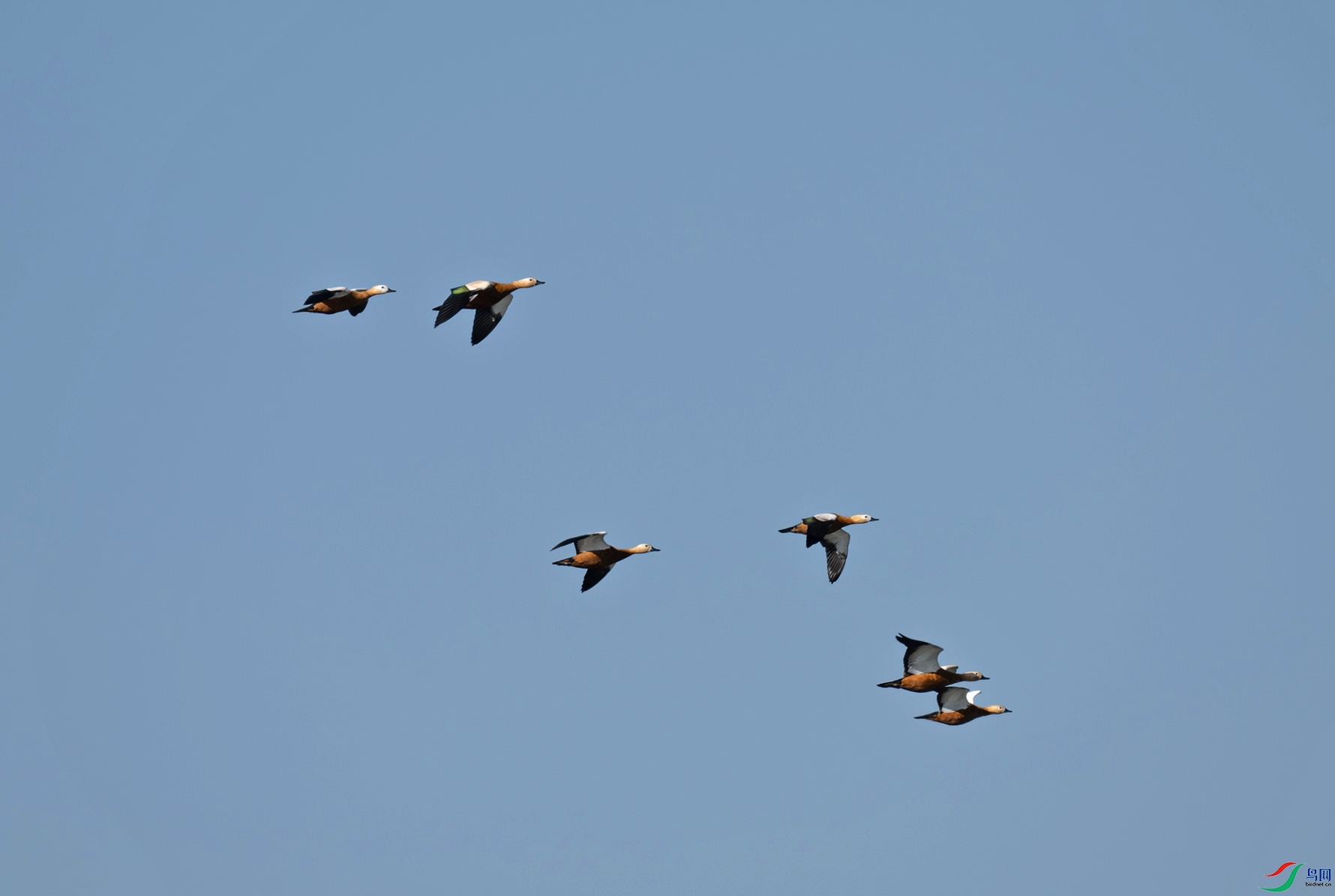 DSC_0440f.jpg