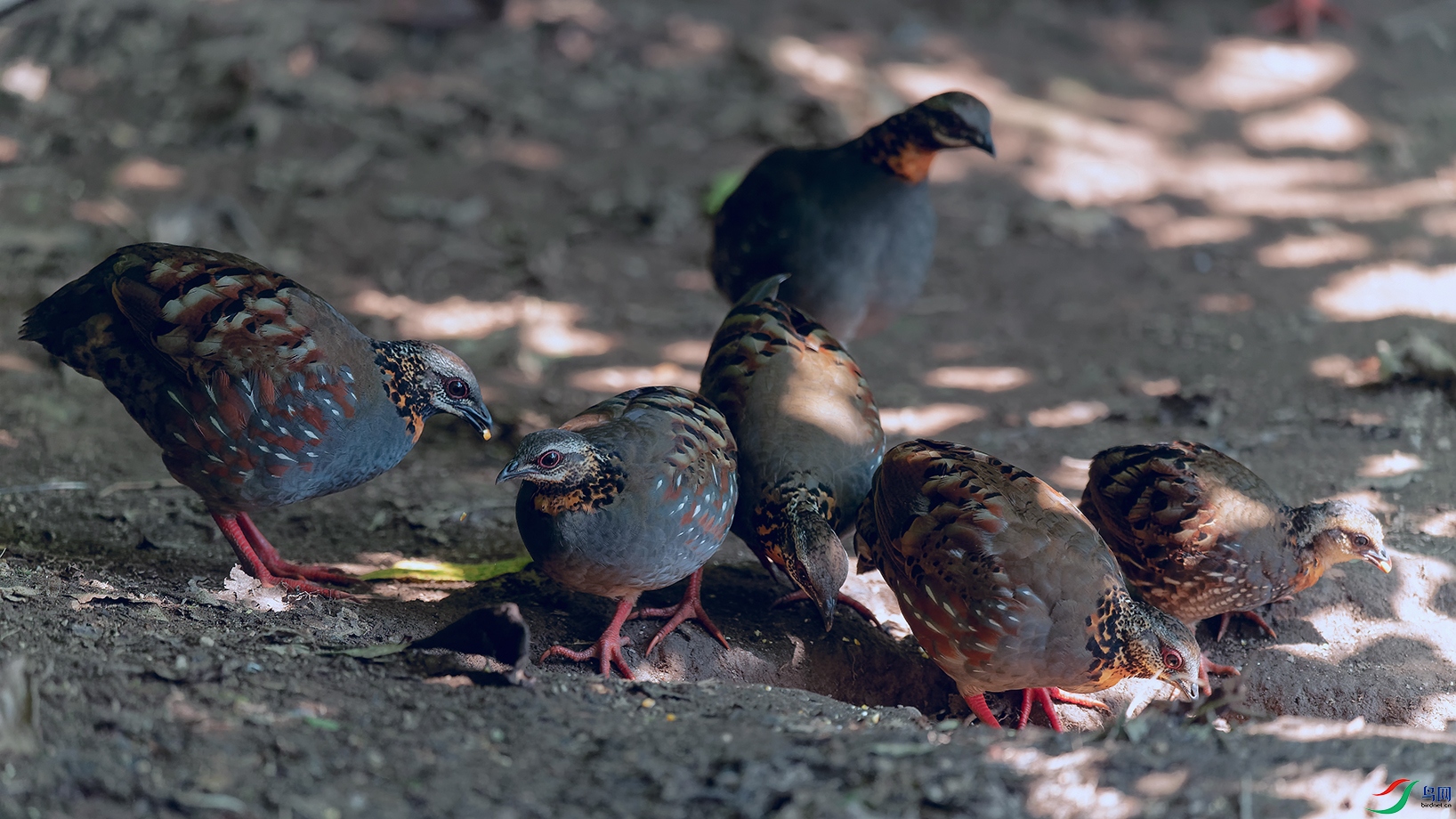4DSC_0911_DxOa.jpg