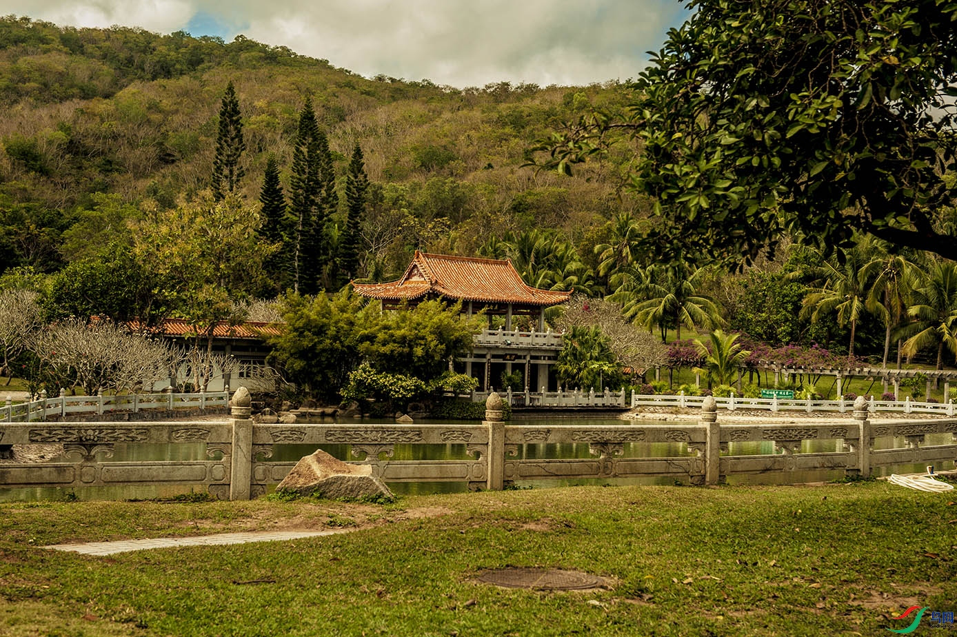 DSC_8179.jpg