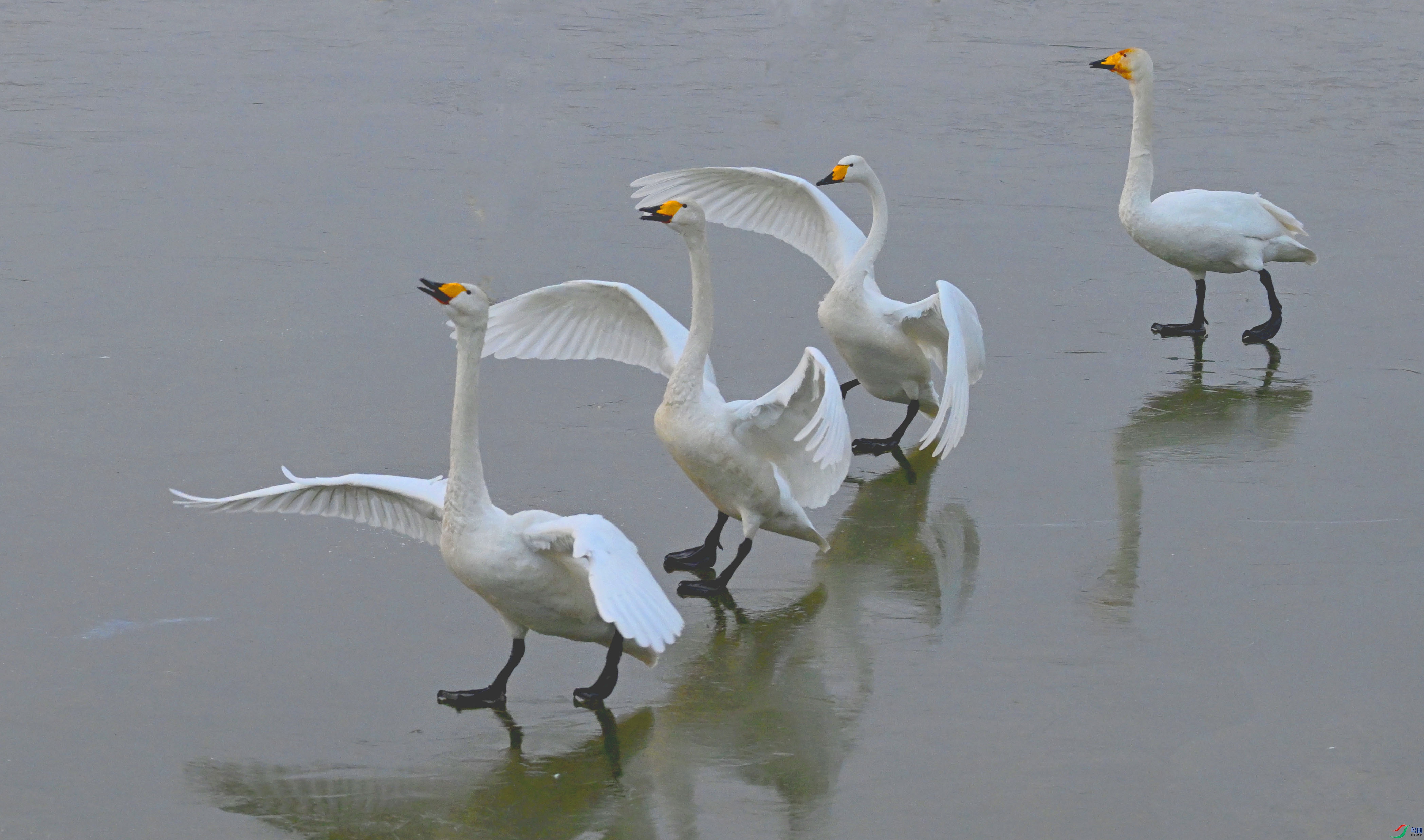 DSC_9433 ����.jpg