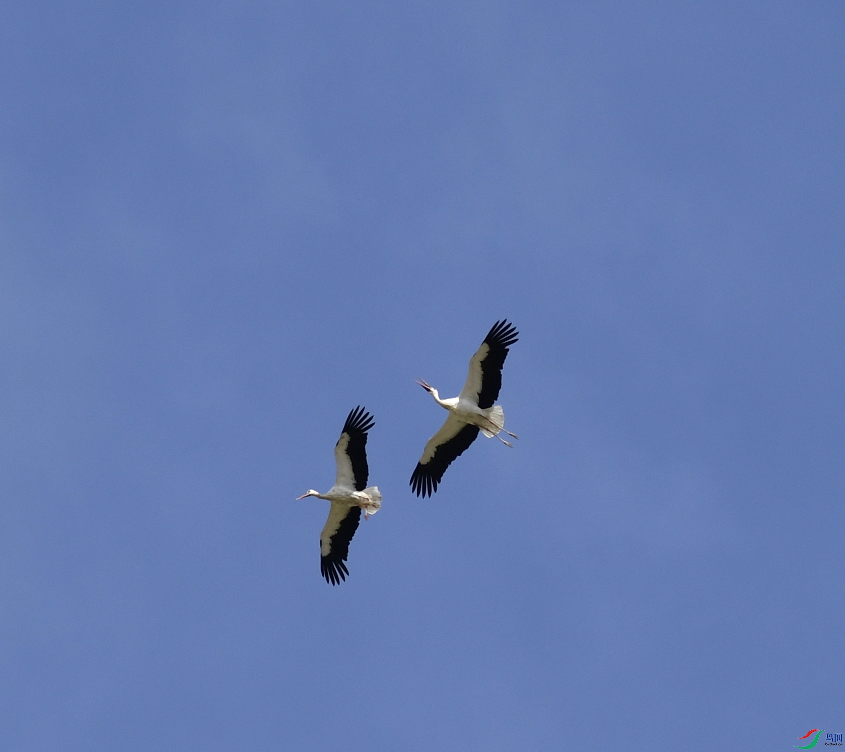 _DSC2662_01.JPG
