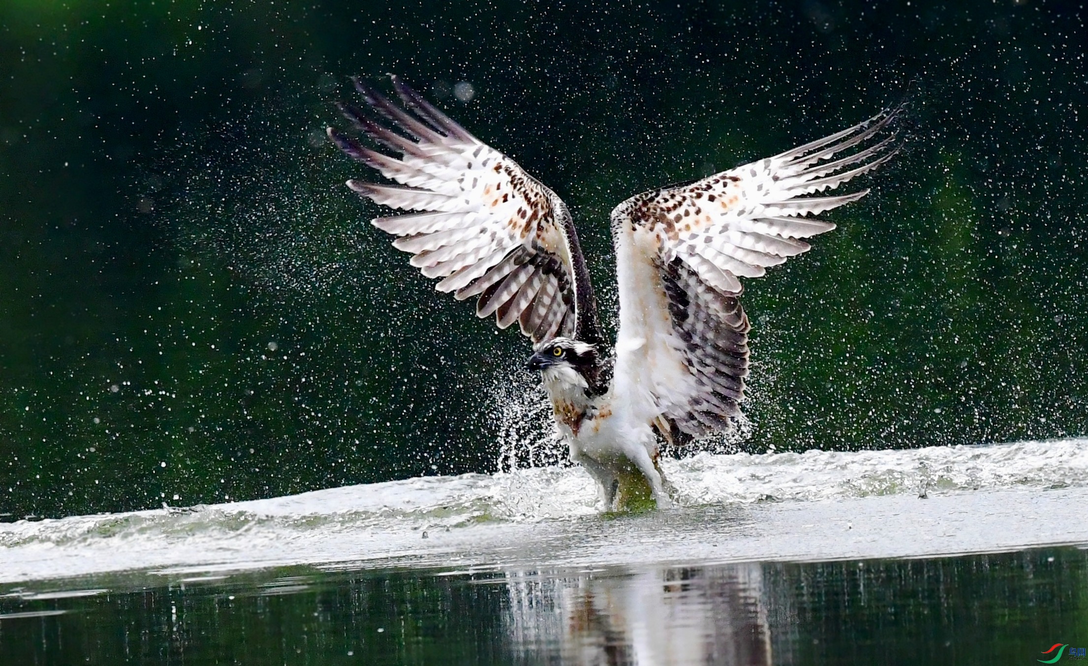 DSC_0159_conew1.jpg