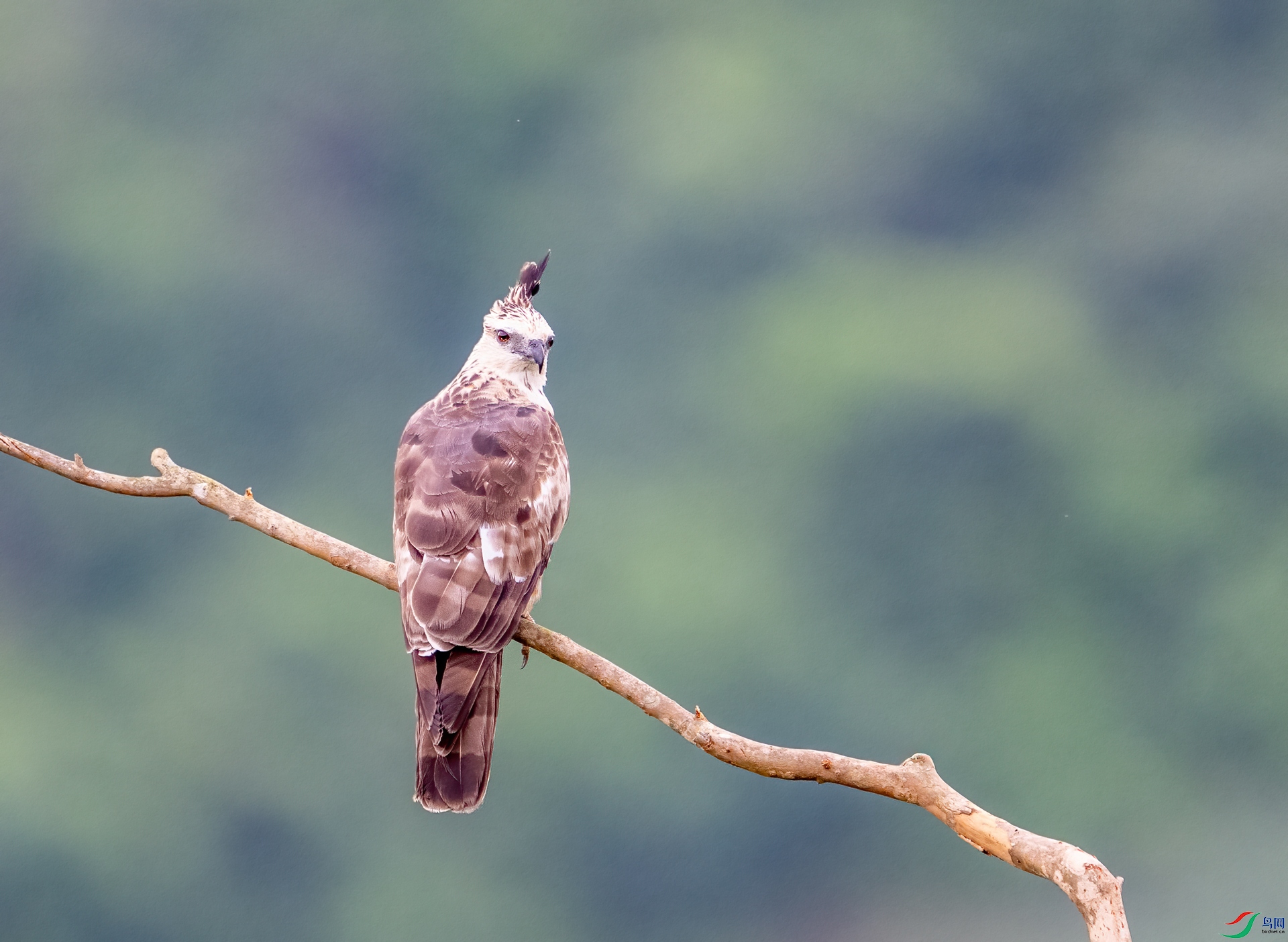 DSC_2762-1.jpg