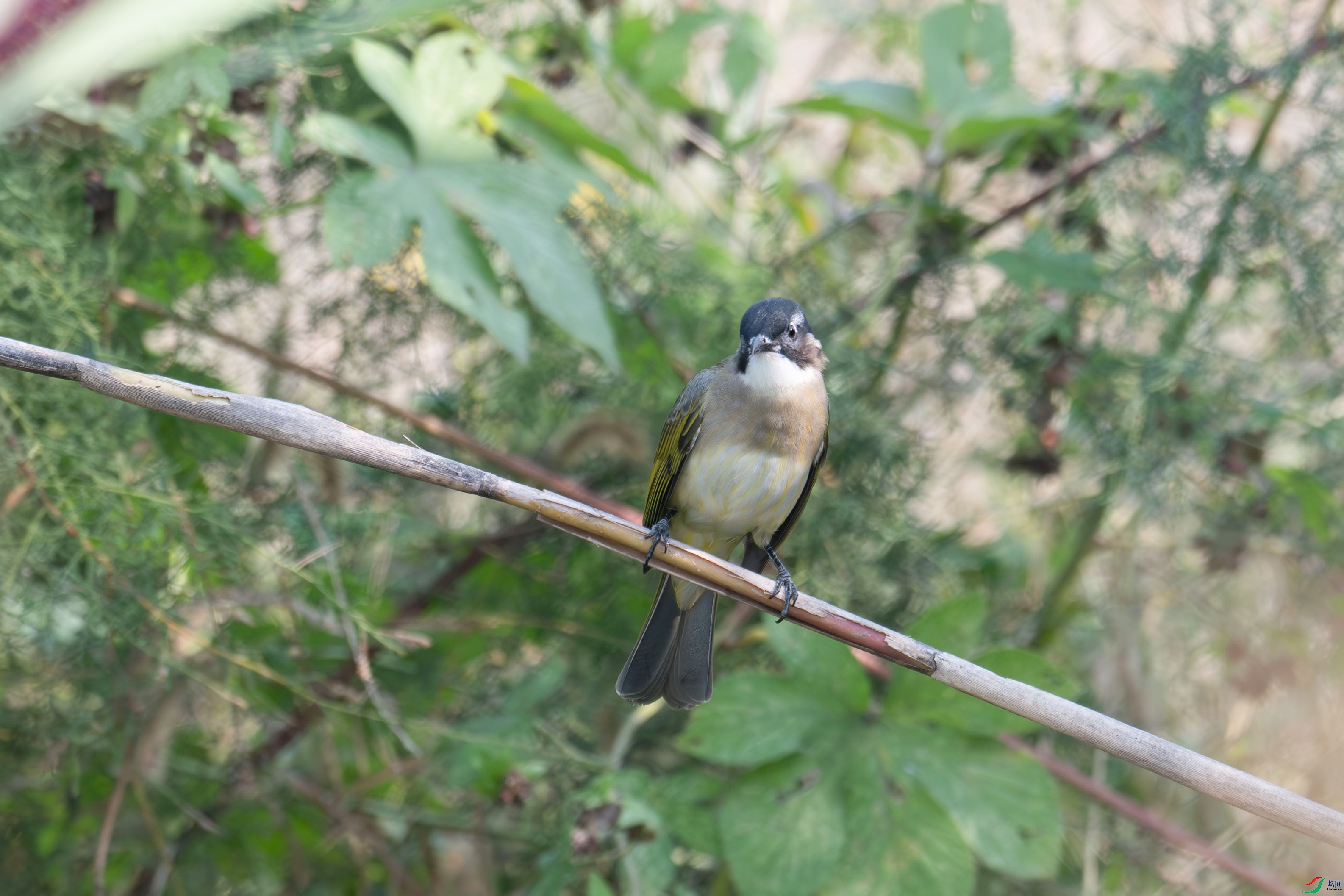 DSC_1844.jpg