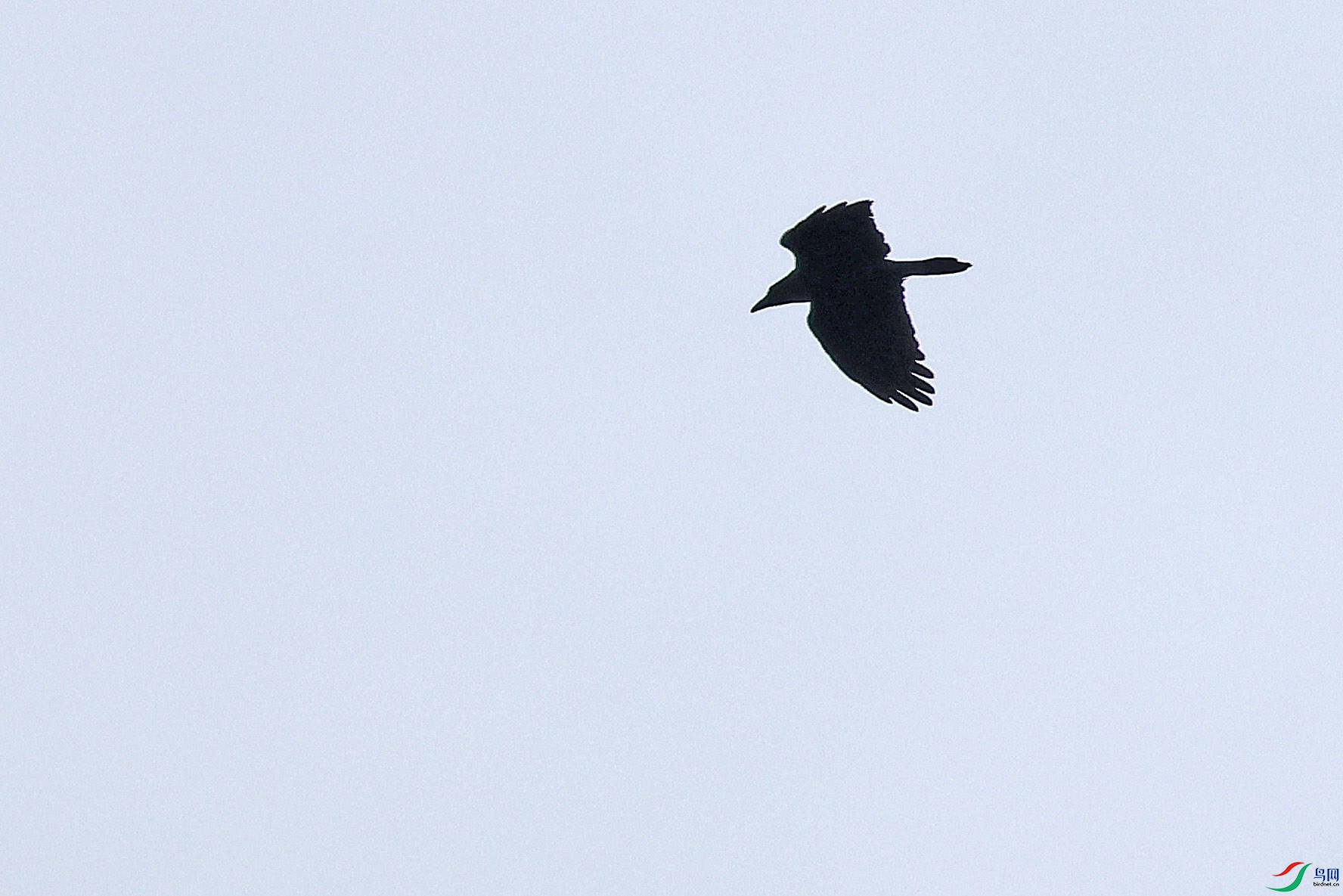 2G9A5362.JPG