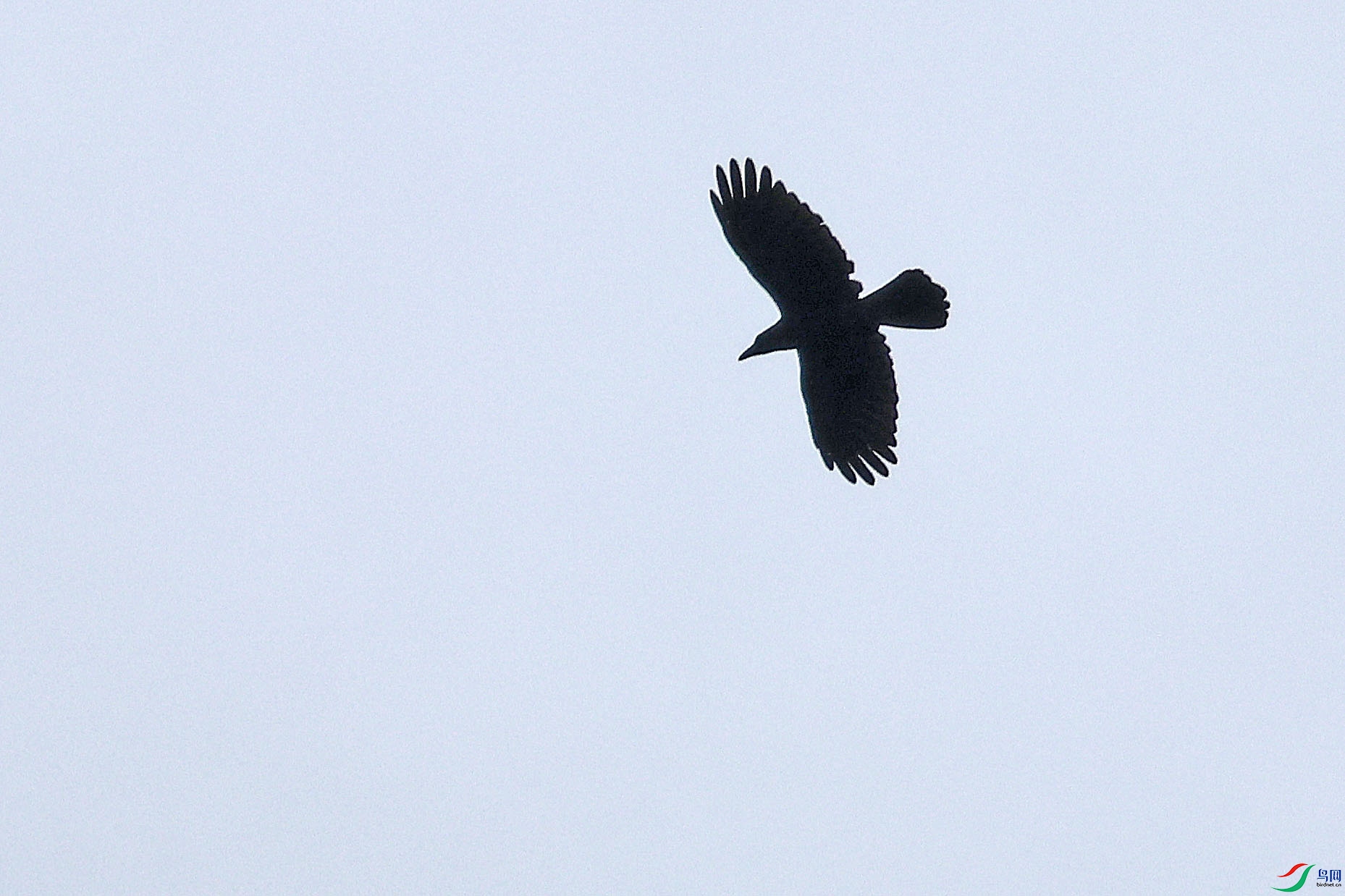 2G9A5364.JPG