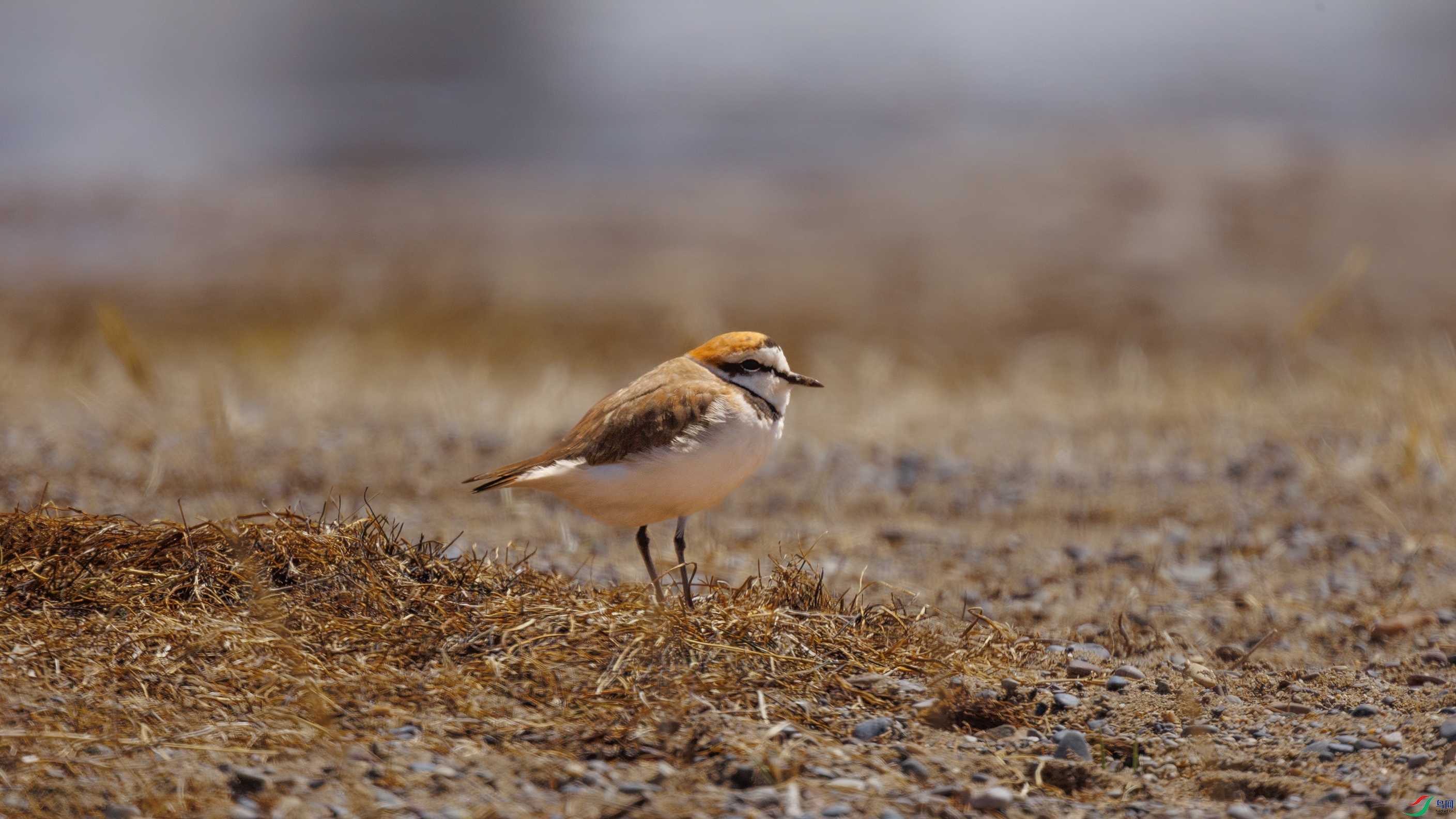 7X5A0706 ����000.jpg