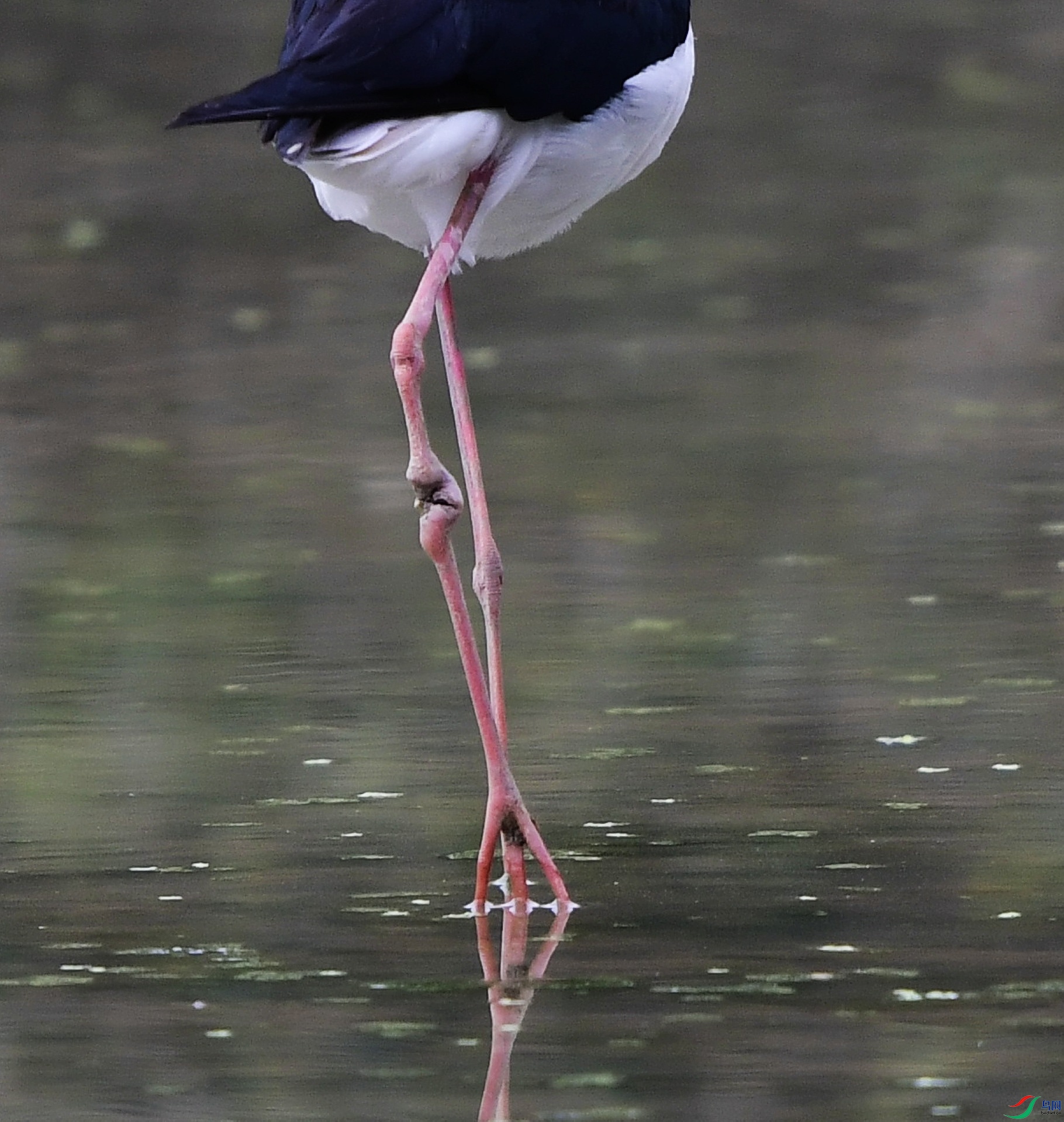 _D5D7586.jpg