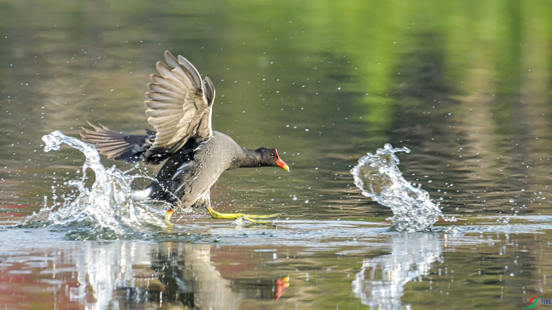 _XXL4757 ����.jpeg