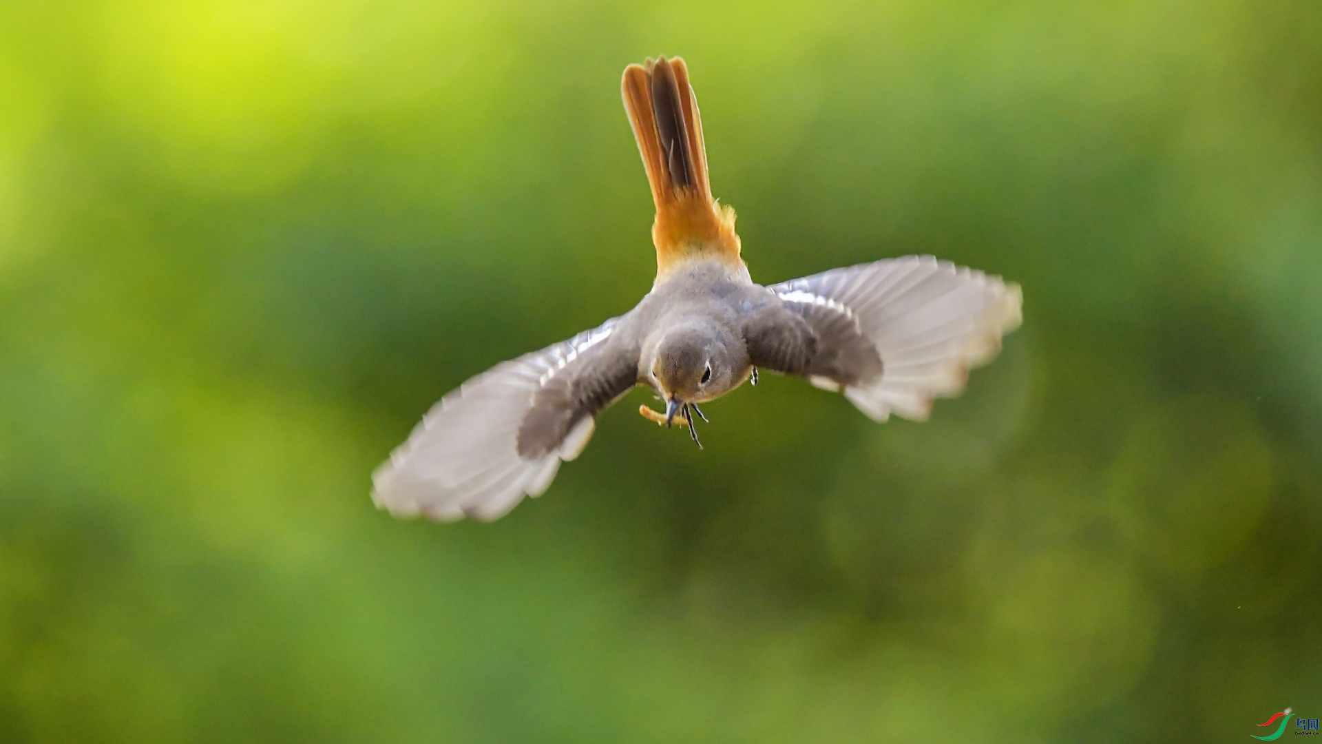 _XXL1862 ����.jpeg