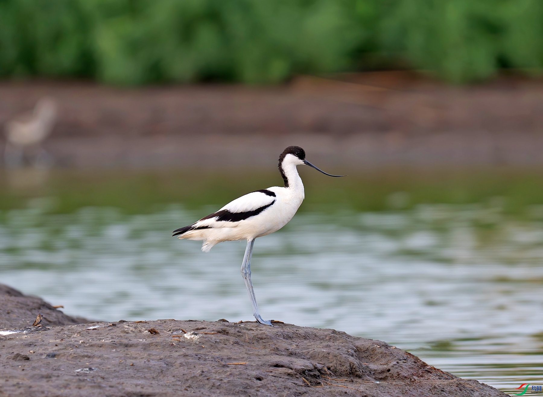 _DSC5009f.jpg