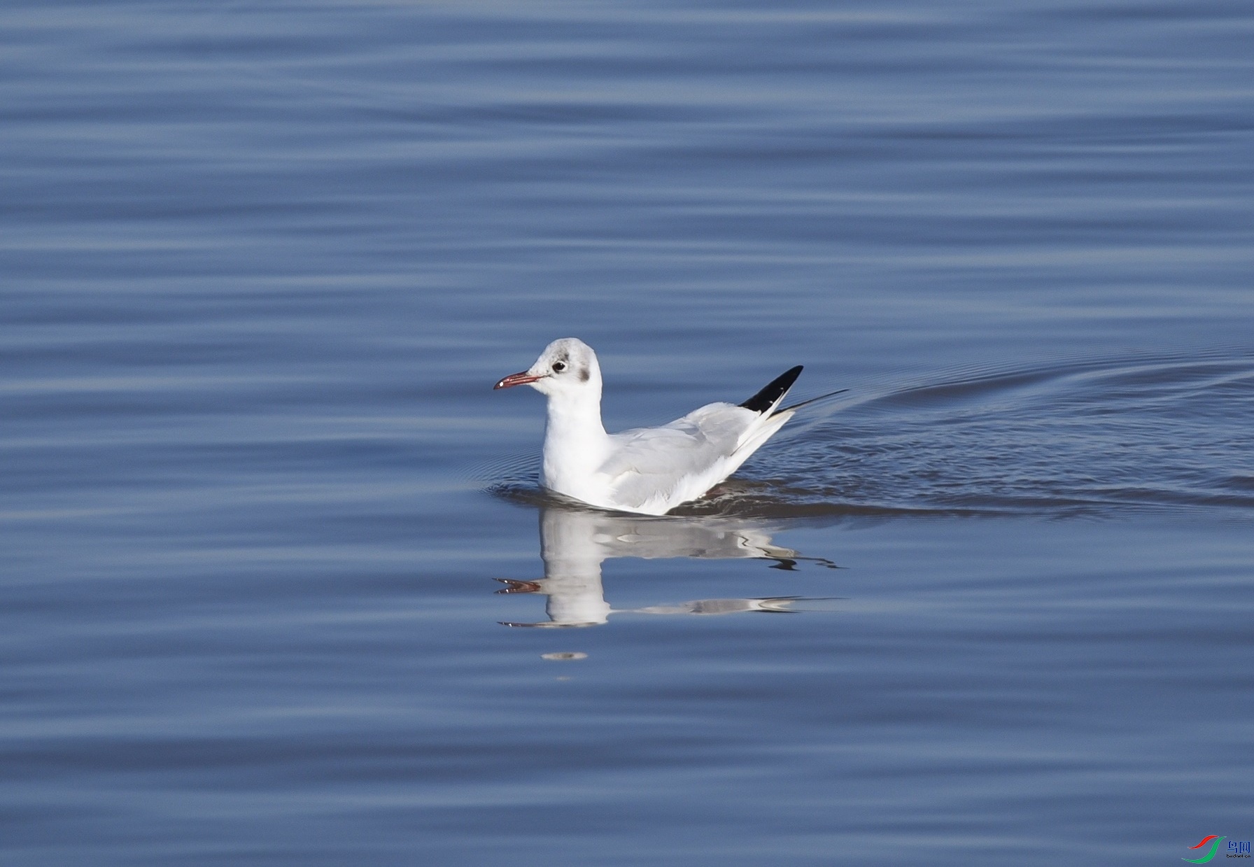 DSC_9418f.jpg