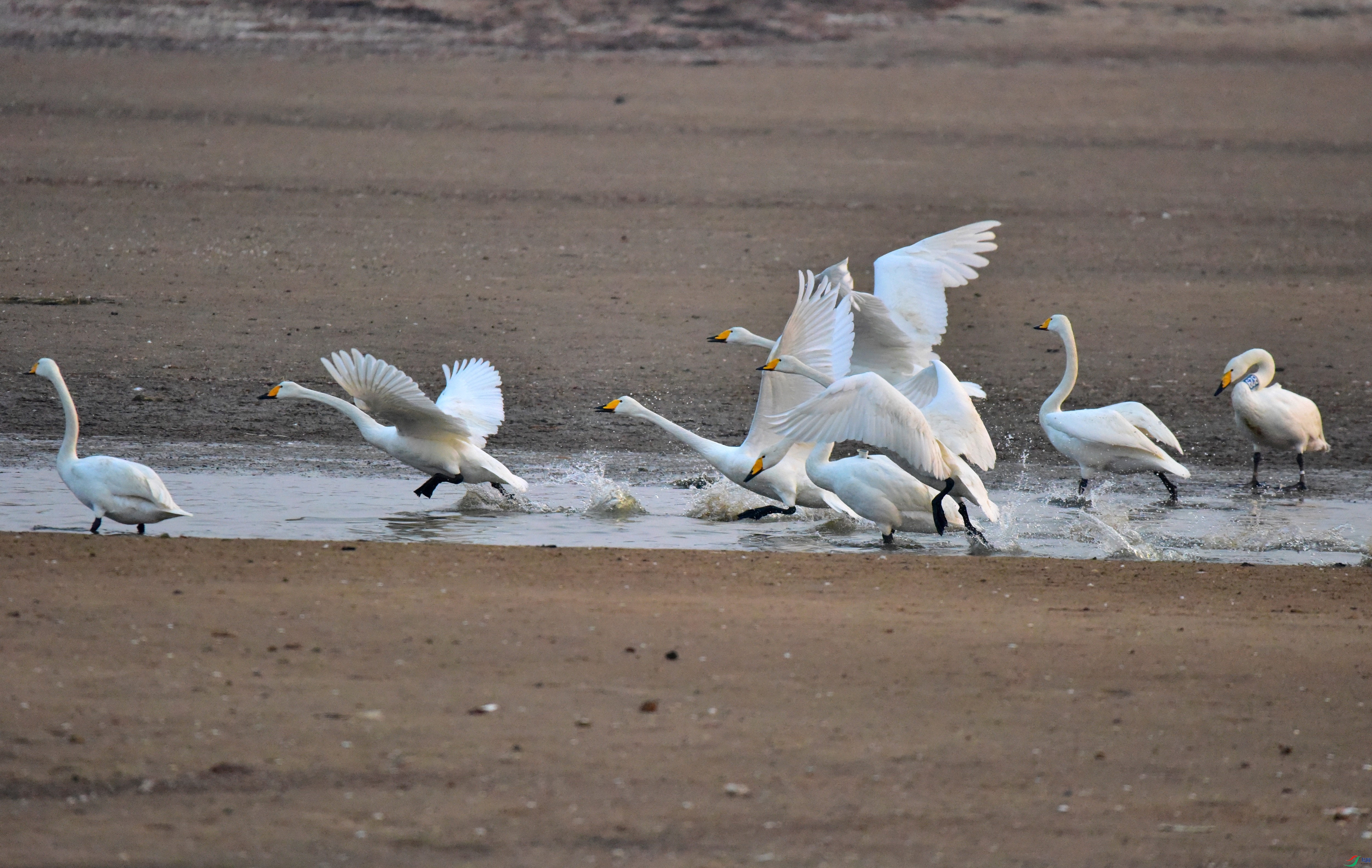 DSC_1669_01.JPG