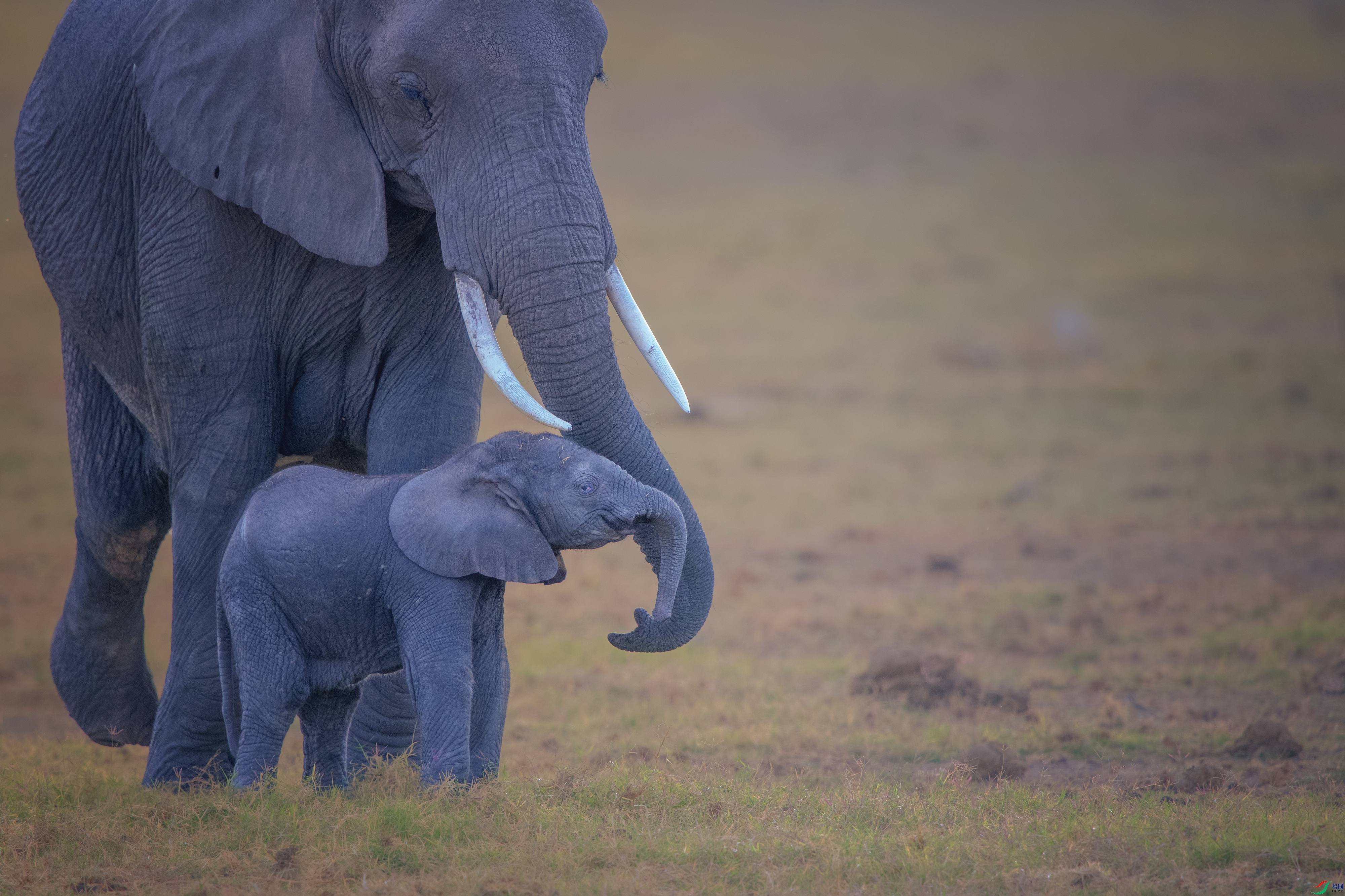 DSC_2836 ����.jpg