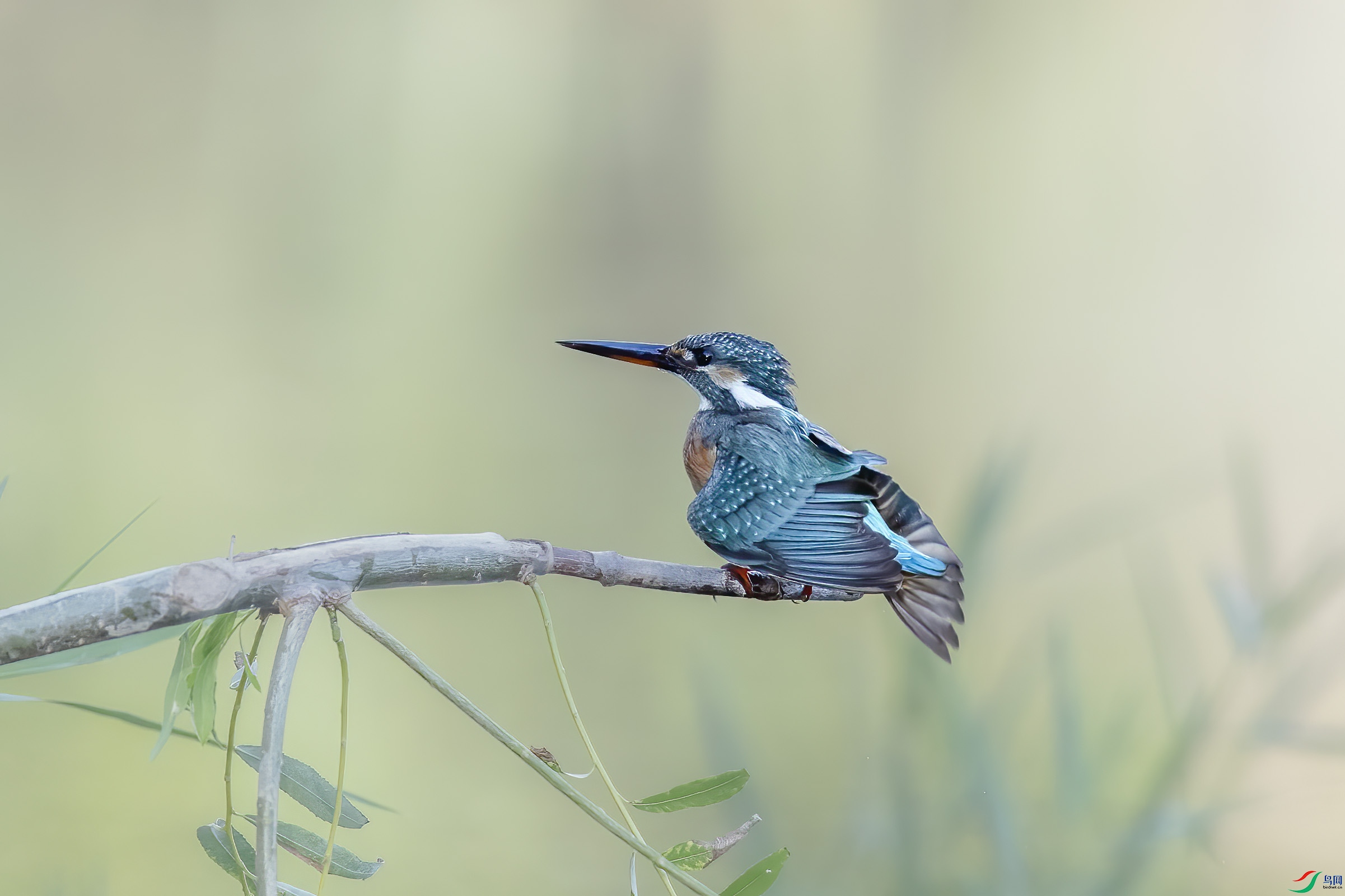 DSC_5002 ����.jpg