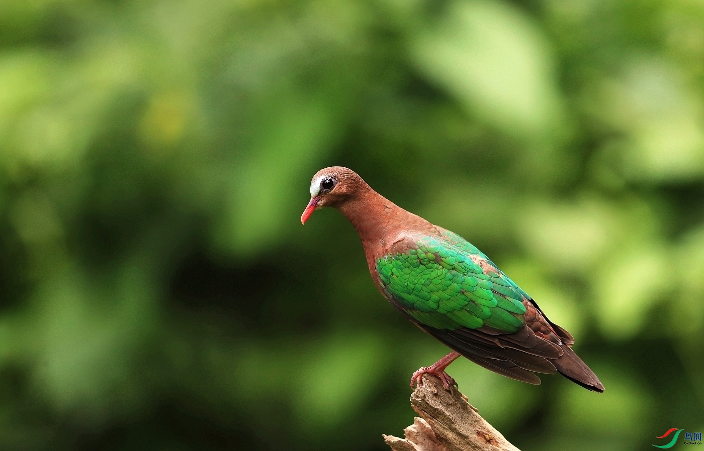 ���� AI0I1638.JPG