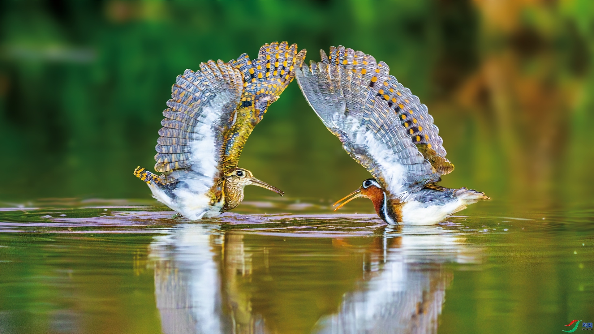 ÿ��һͼ  ���޳��ܲ�  ���� ��ѧ�� ��һ.jpg