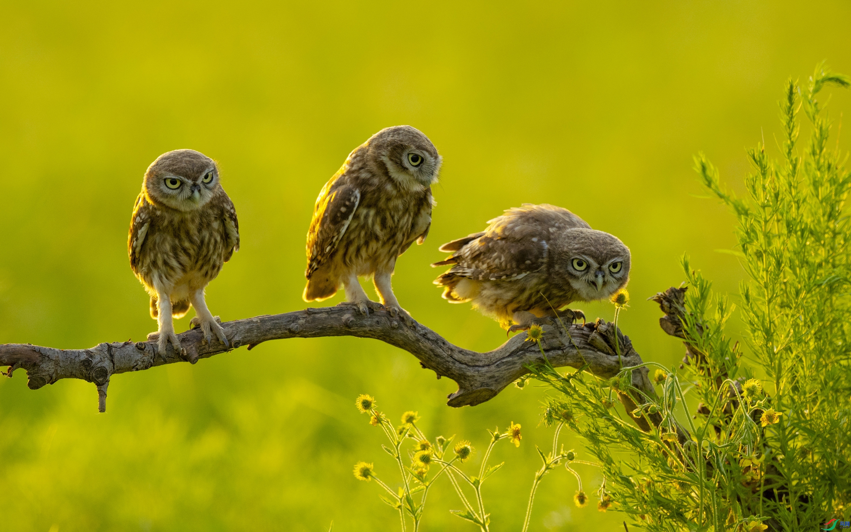 ÿ�ռ��� ������˼  ���� ����.jpg