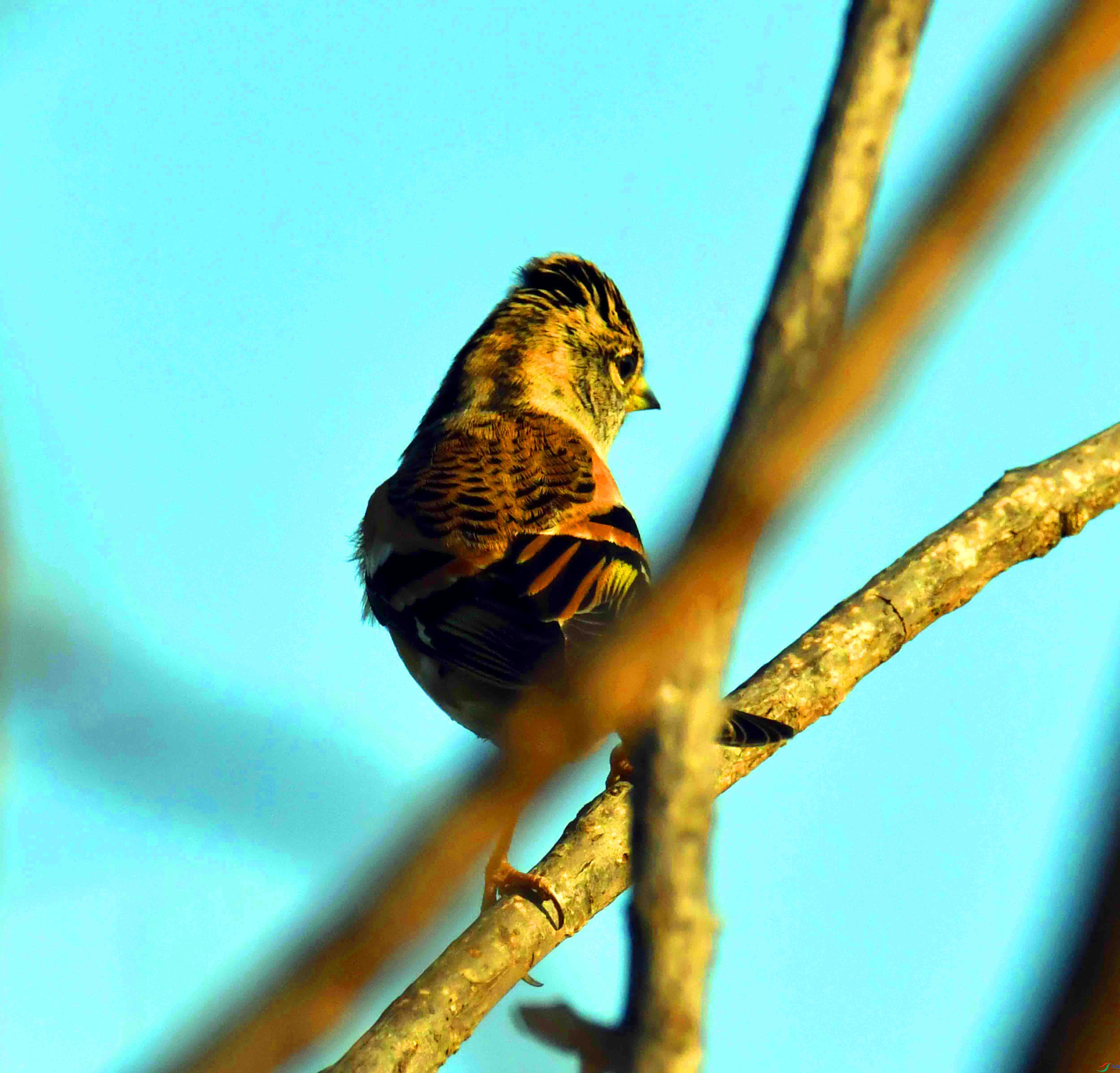DSC_3797.JPG