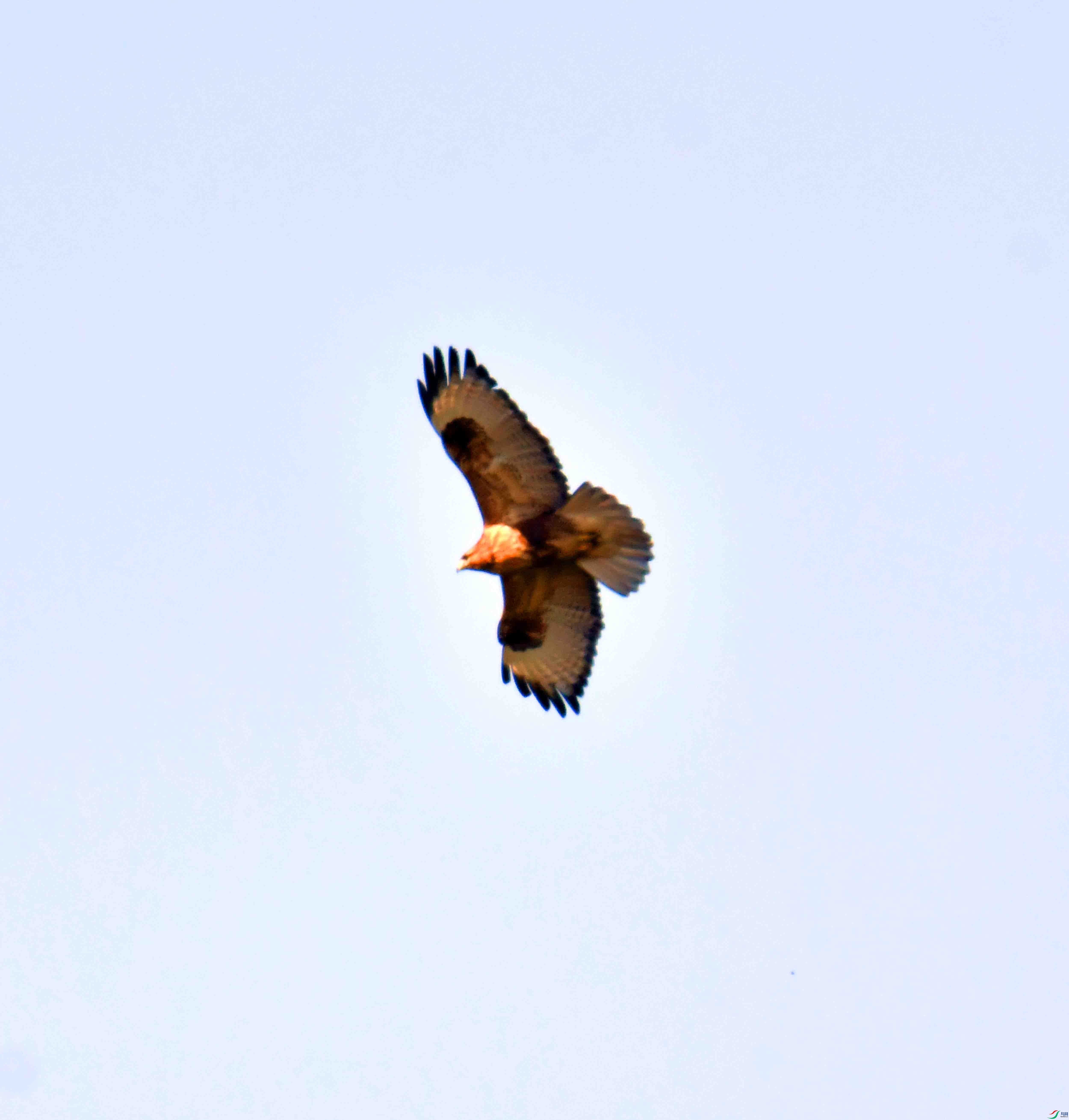 DSC_0312.JPG