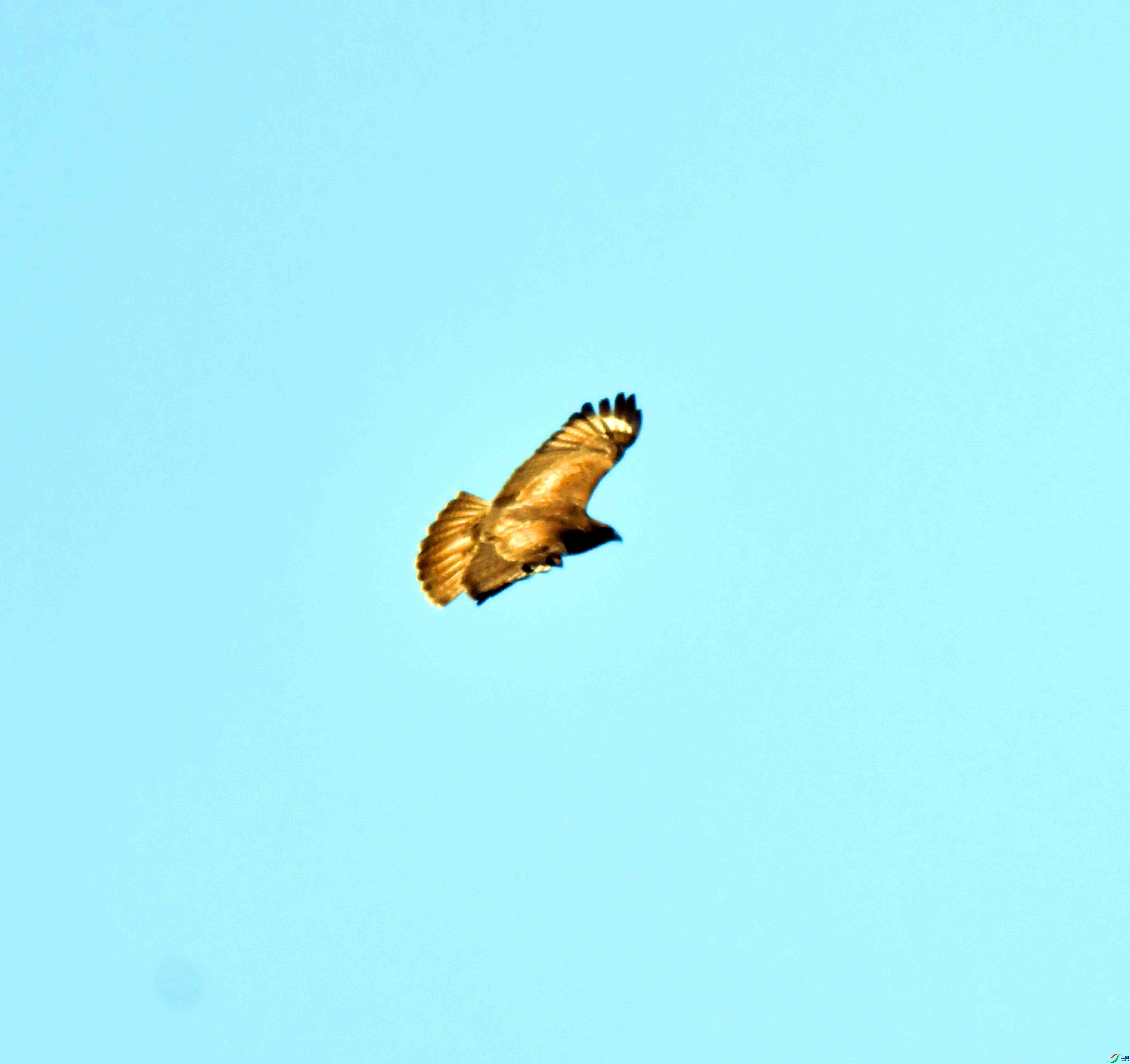 DSC_0317.JPG