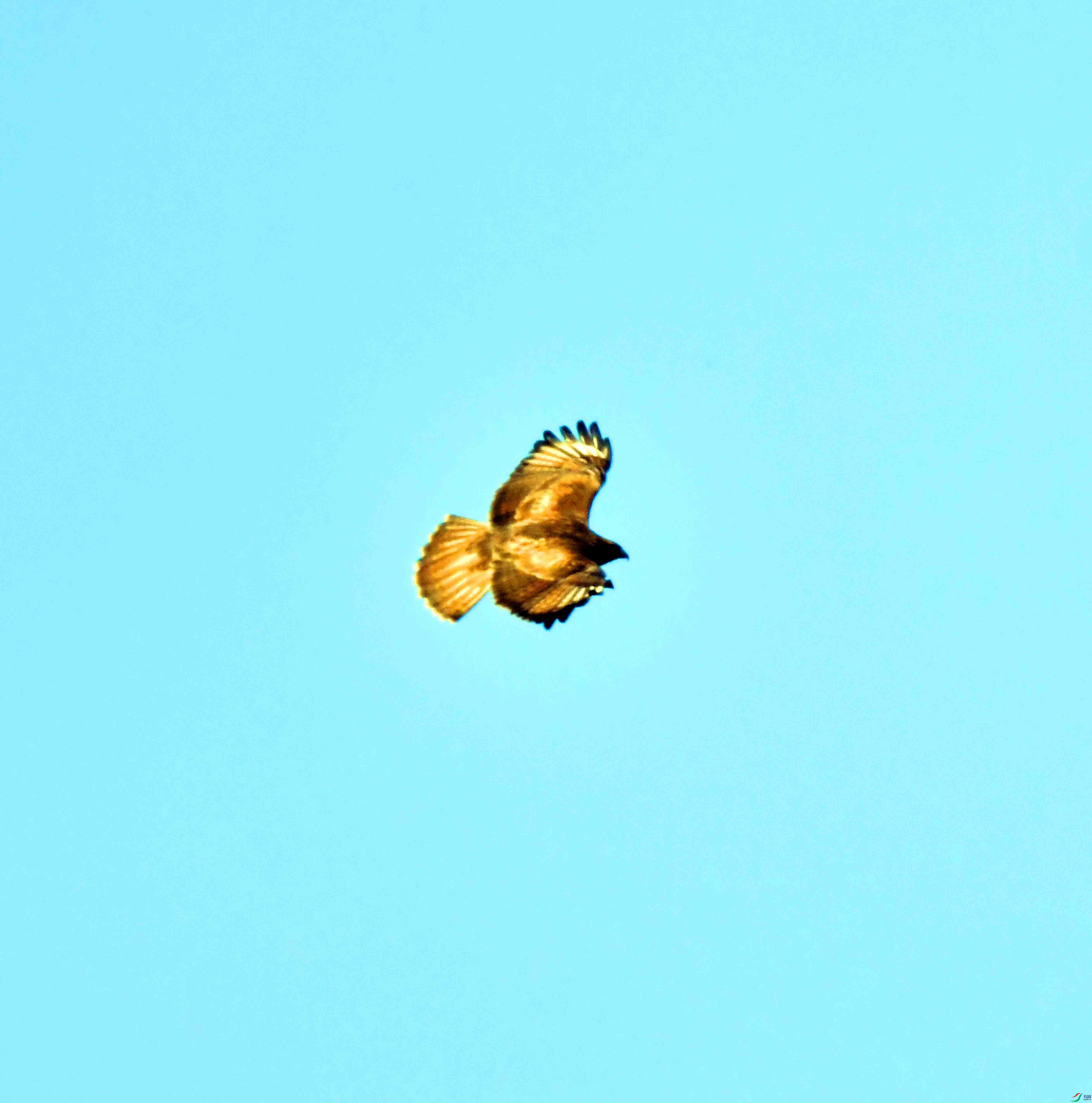 DSC_0315.JPG