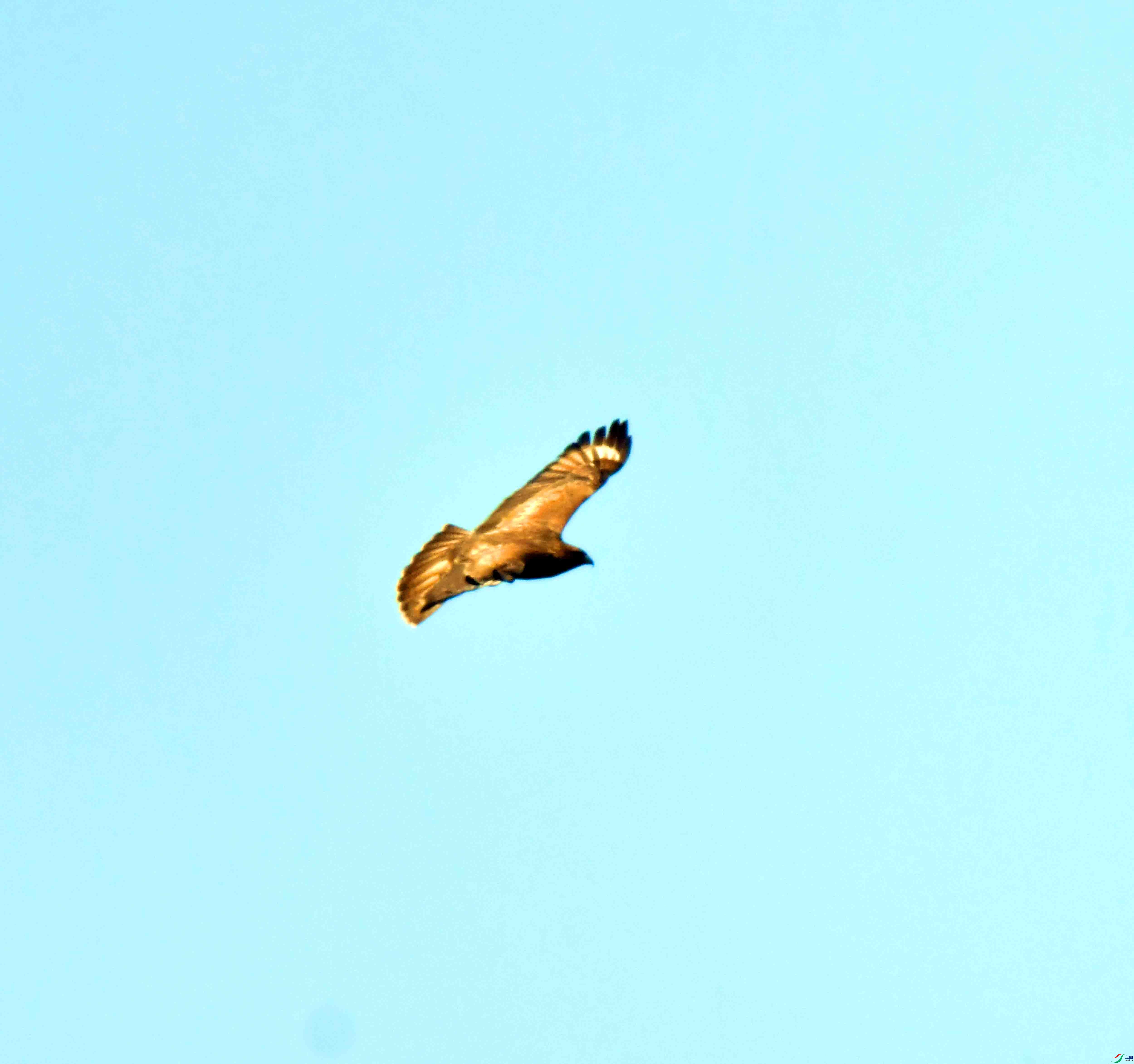 DSC_0318.JPG