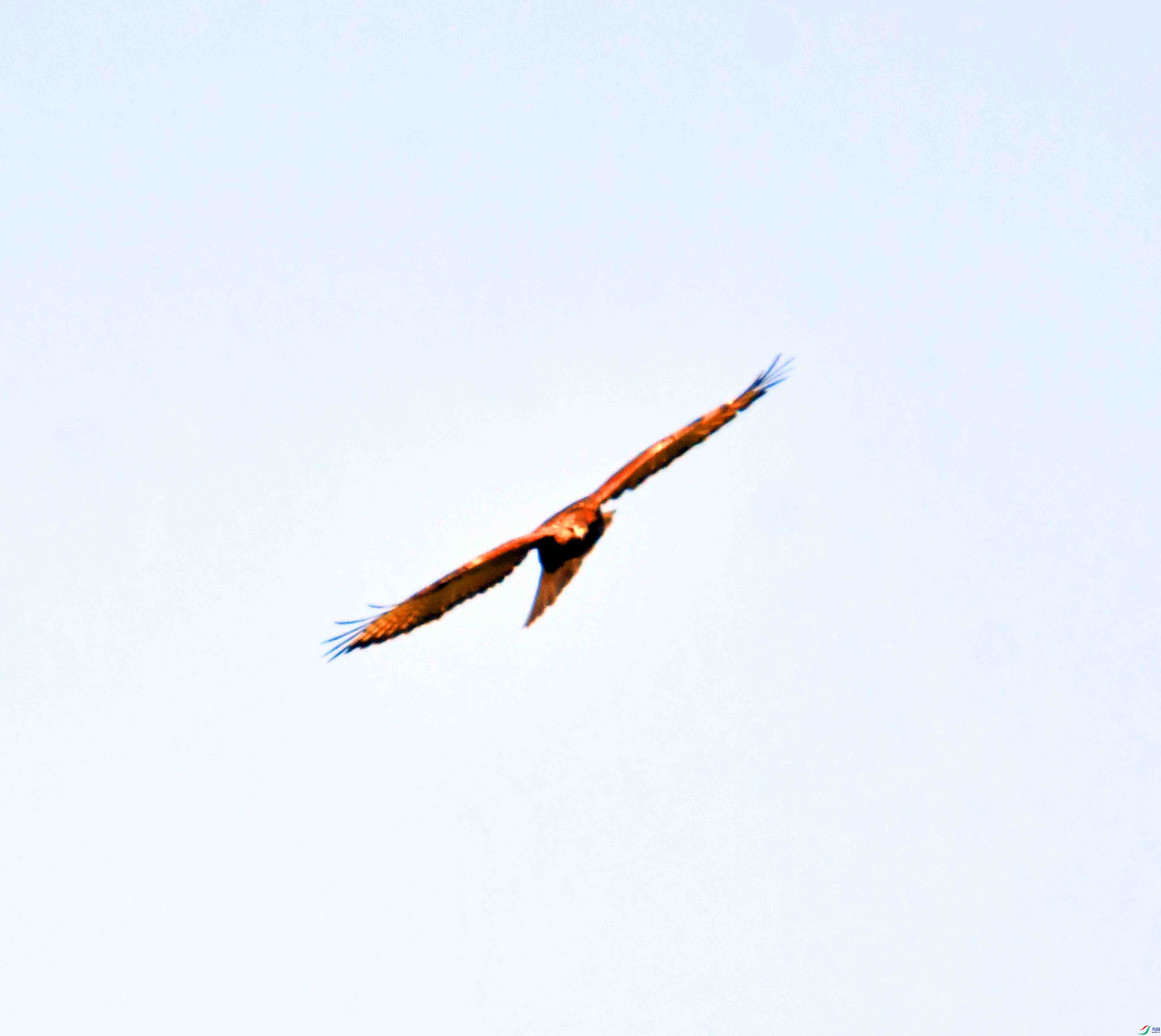 DSC_0320.JPG
