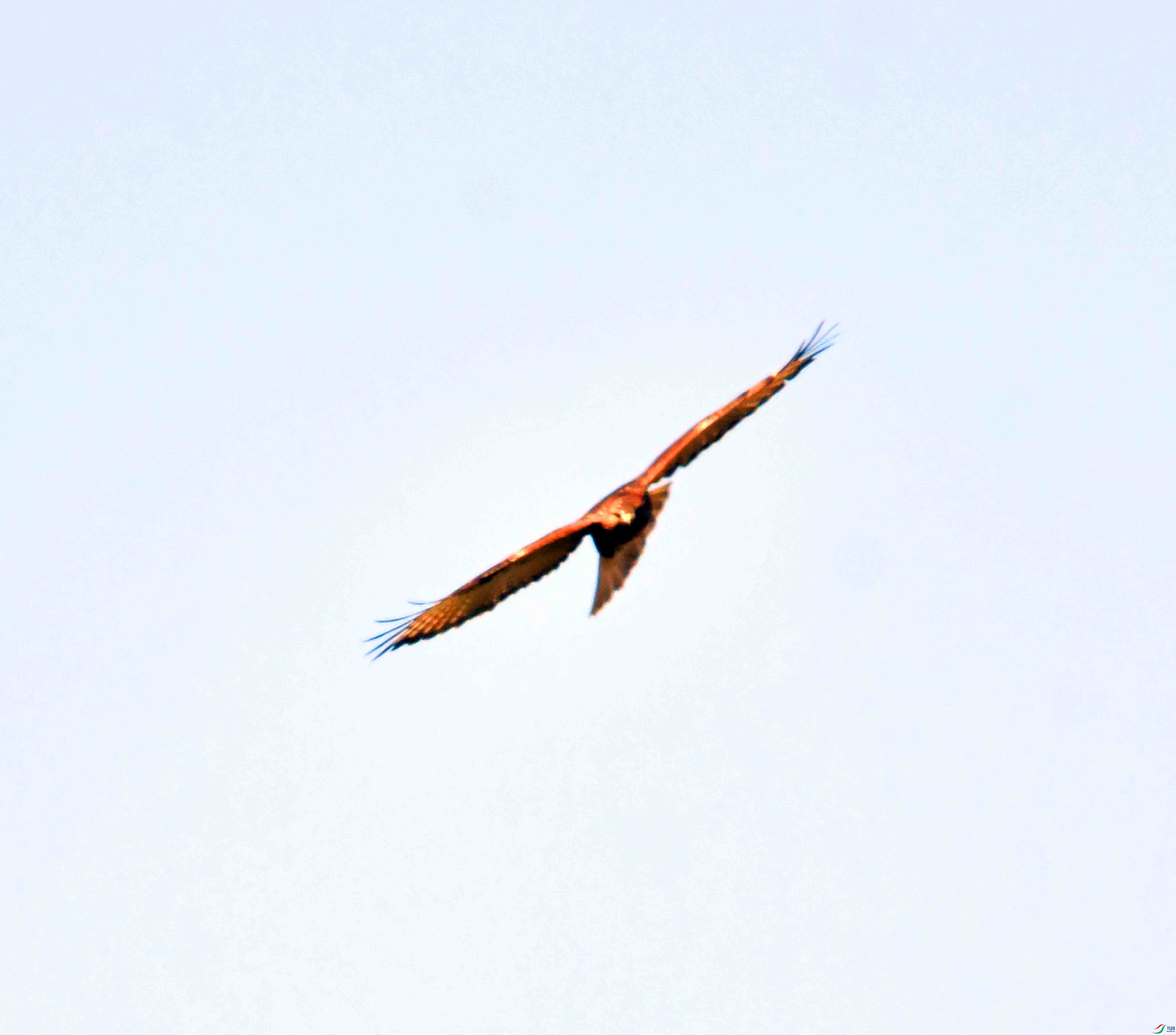 DSC_0321.JPG