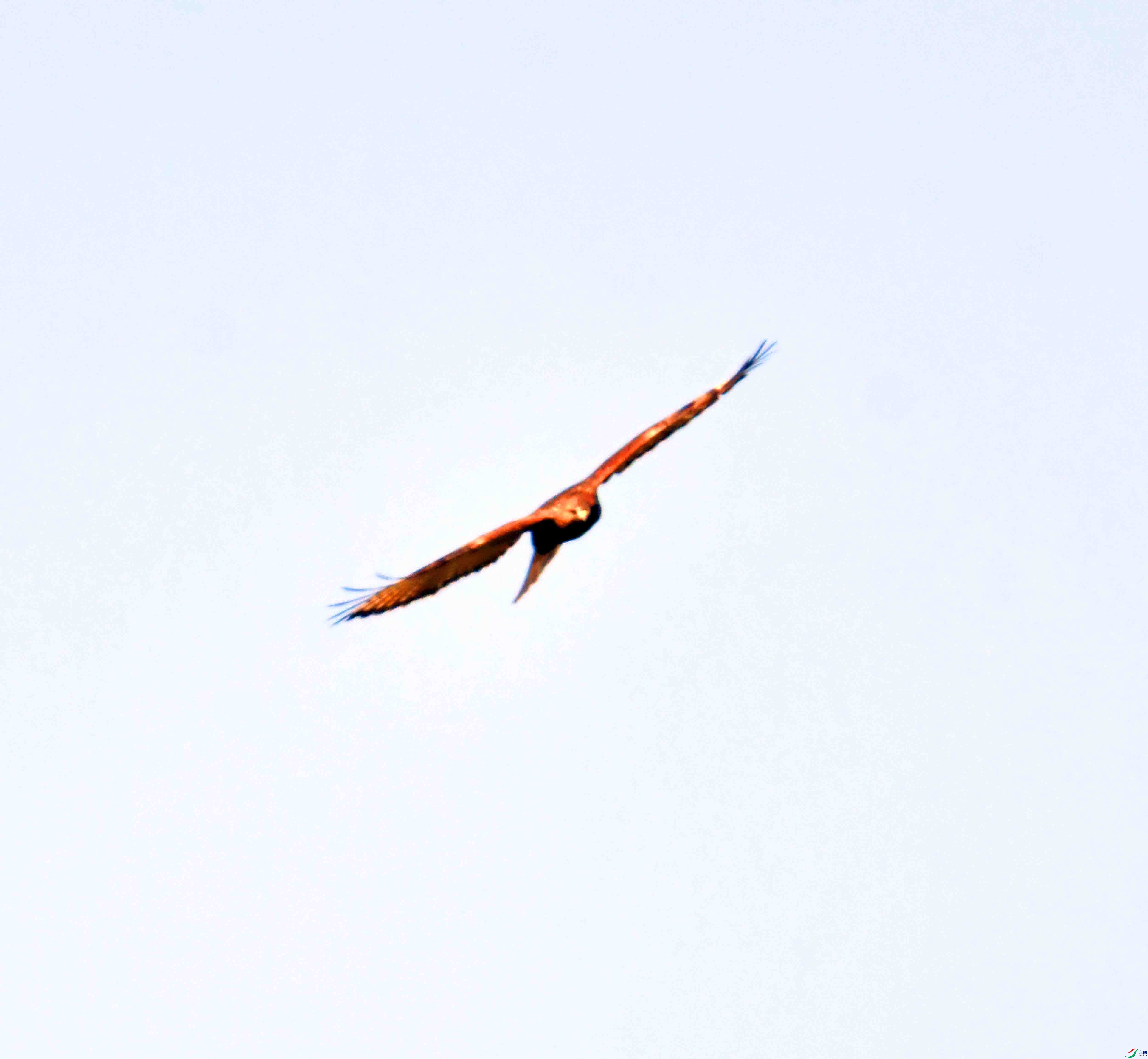 DSC_0319.JPG