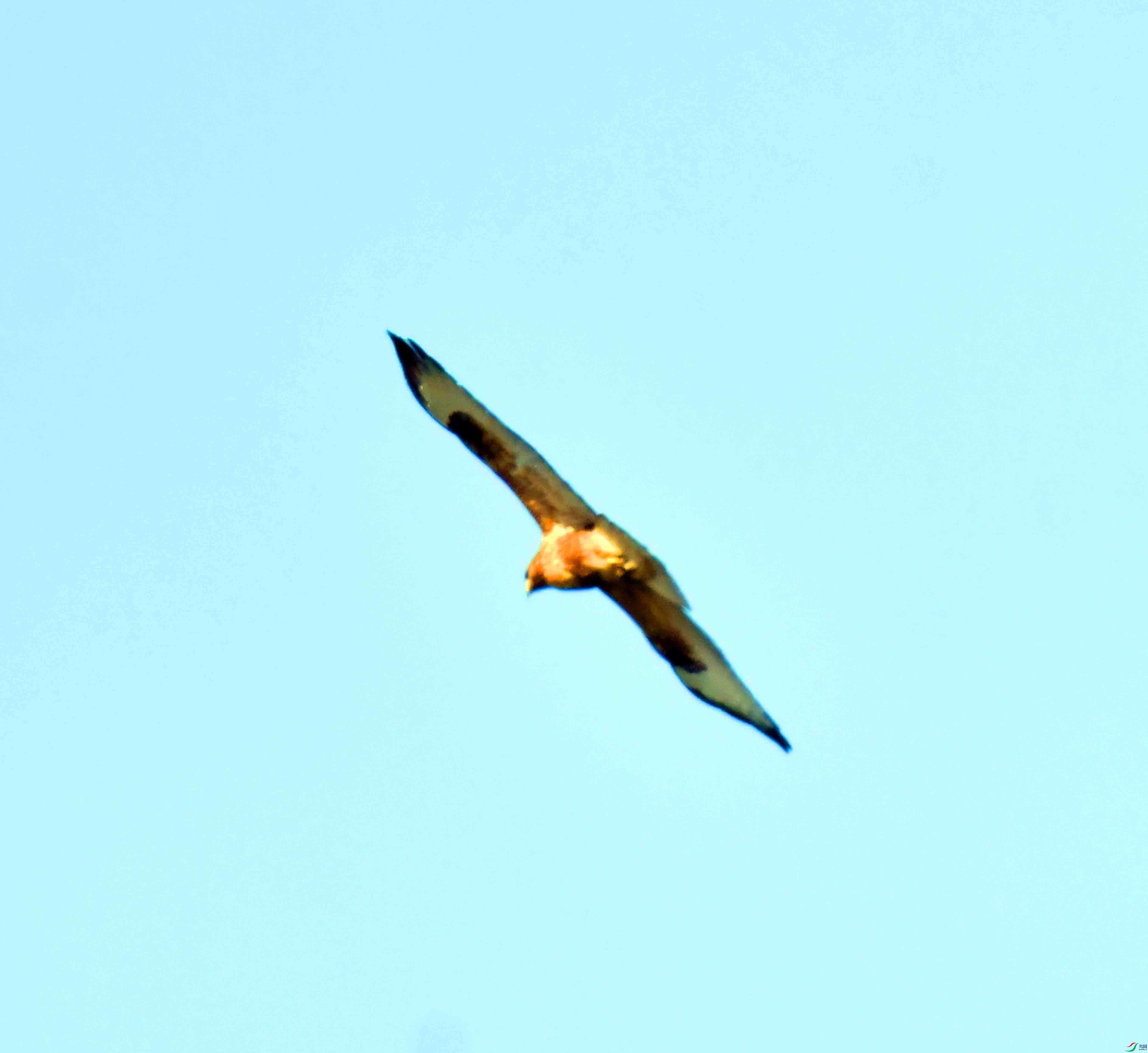 DSC_0329.JPG