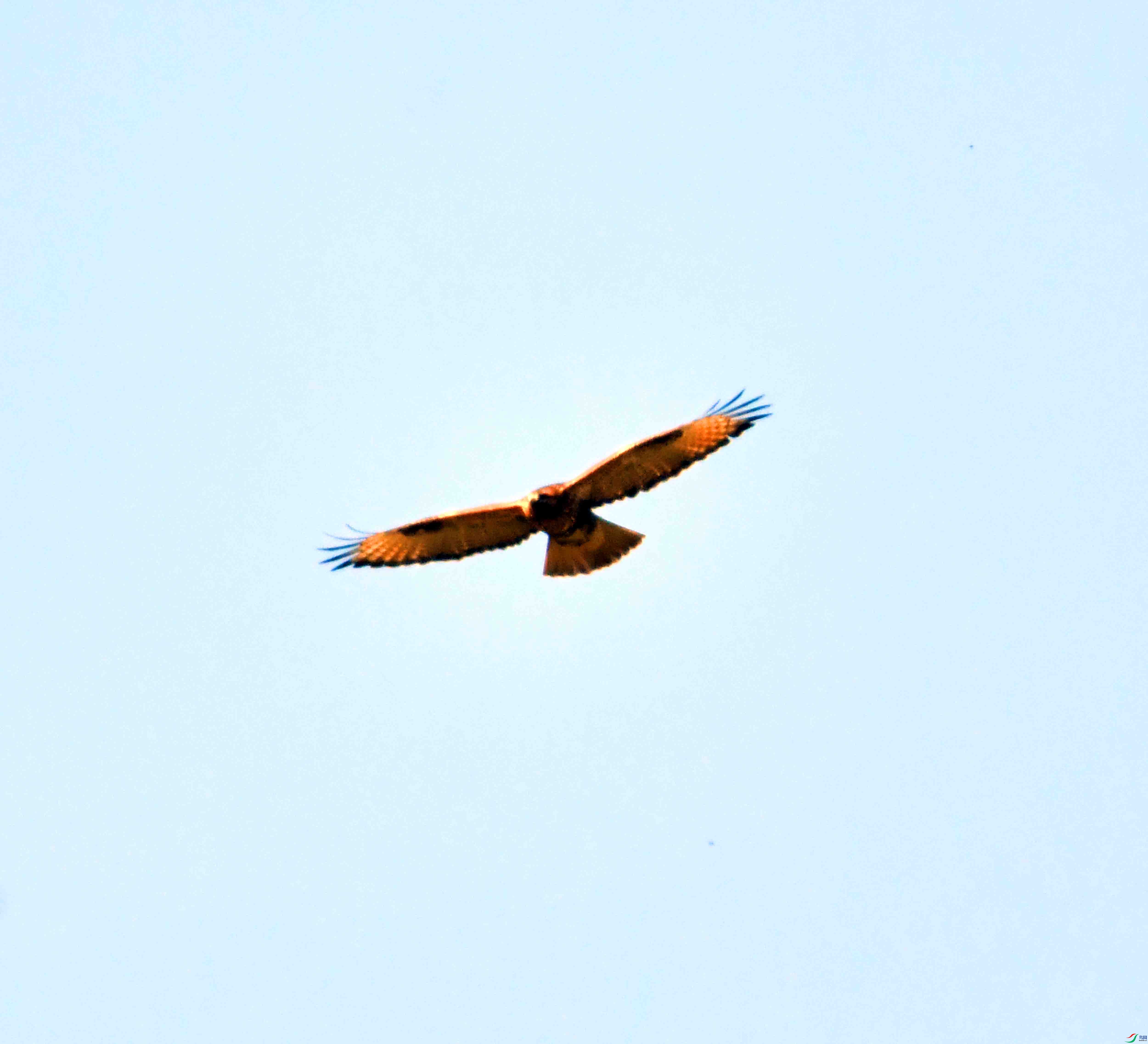 DSC_0349.JPG