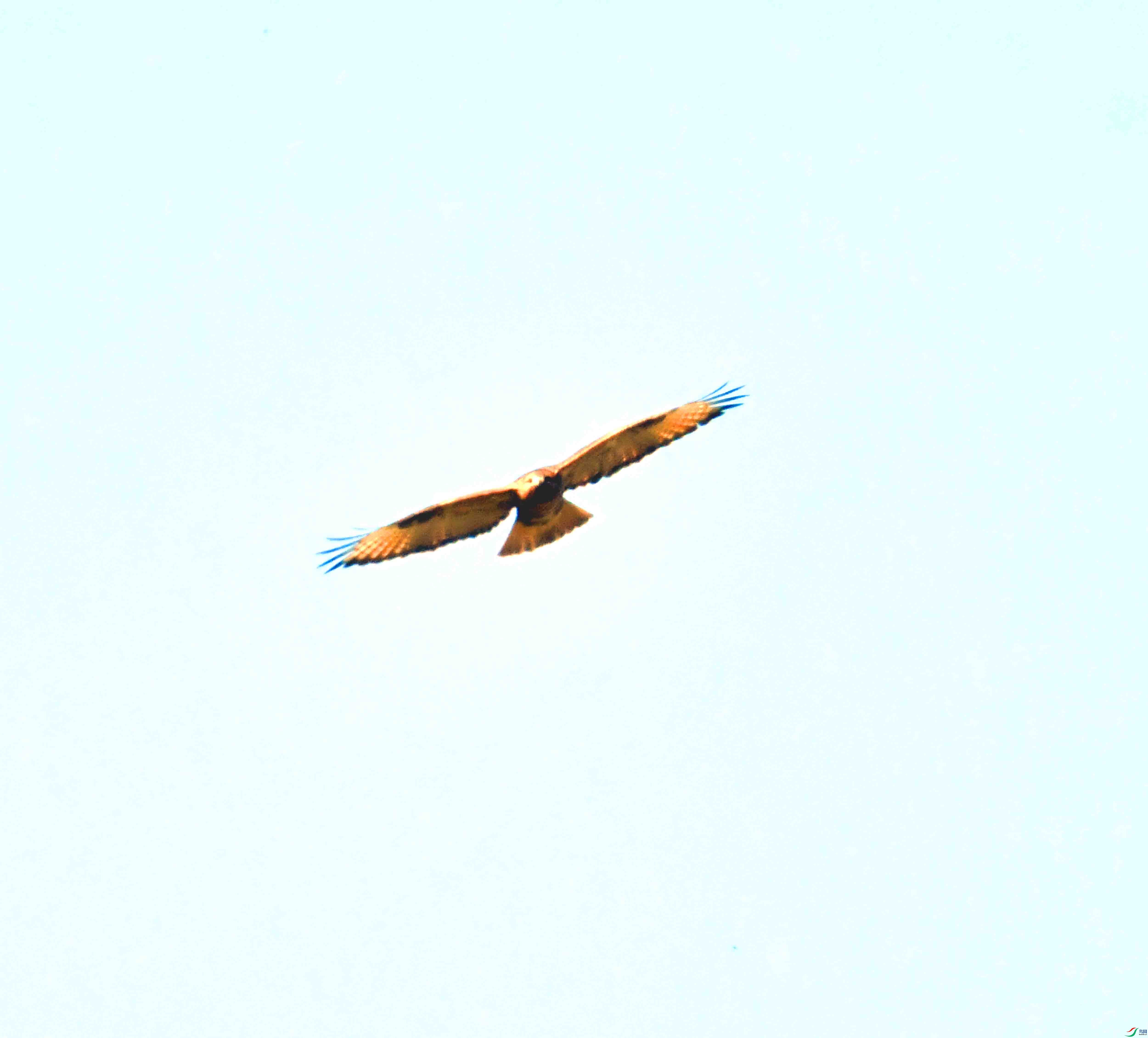DSC_0348.JPG