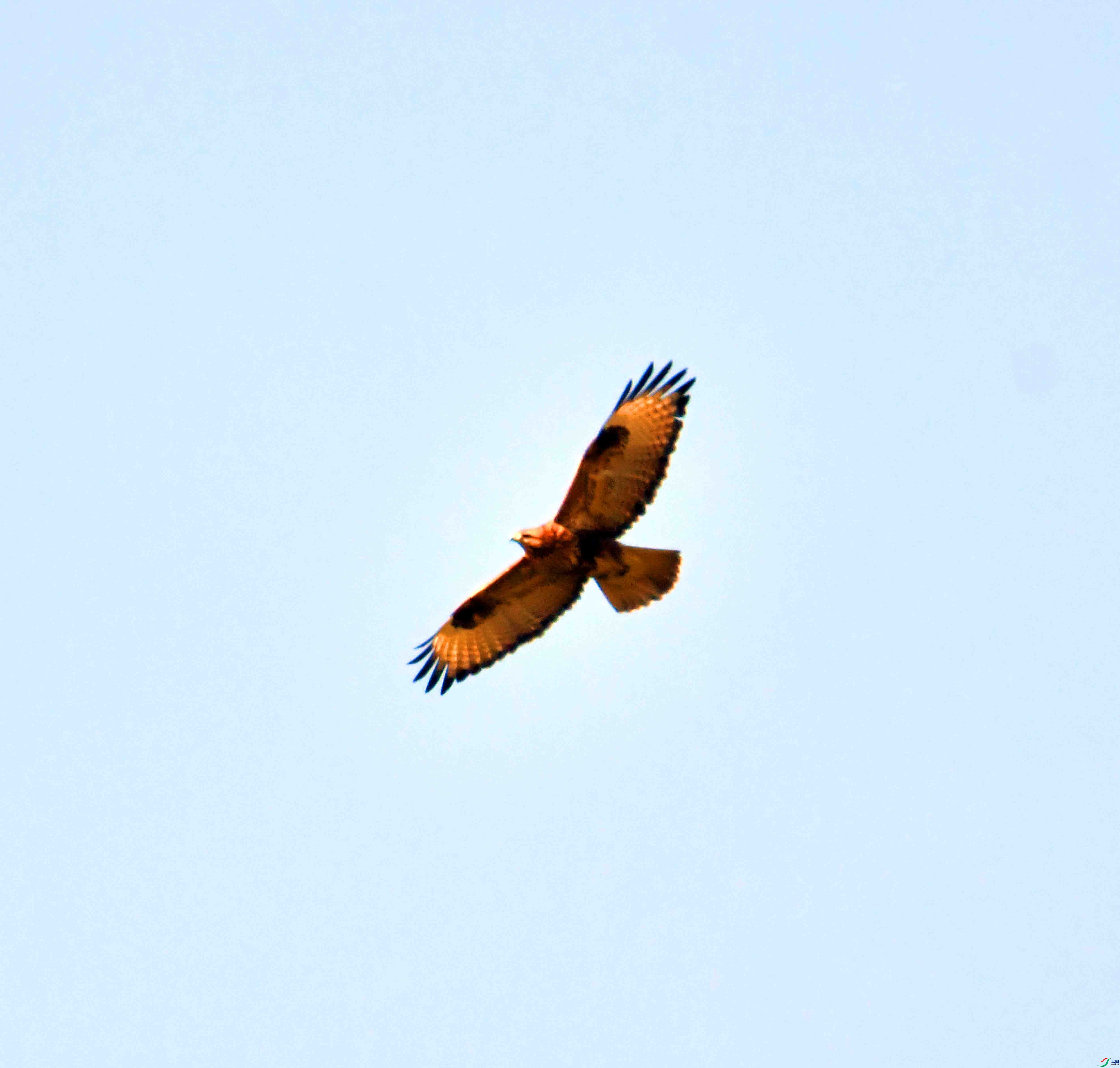 DSC_0352.JPG