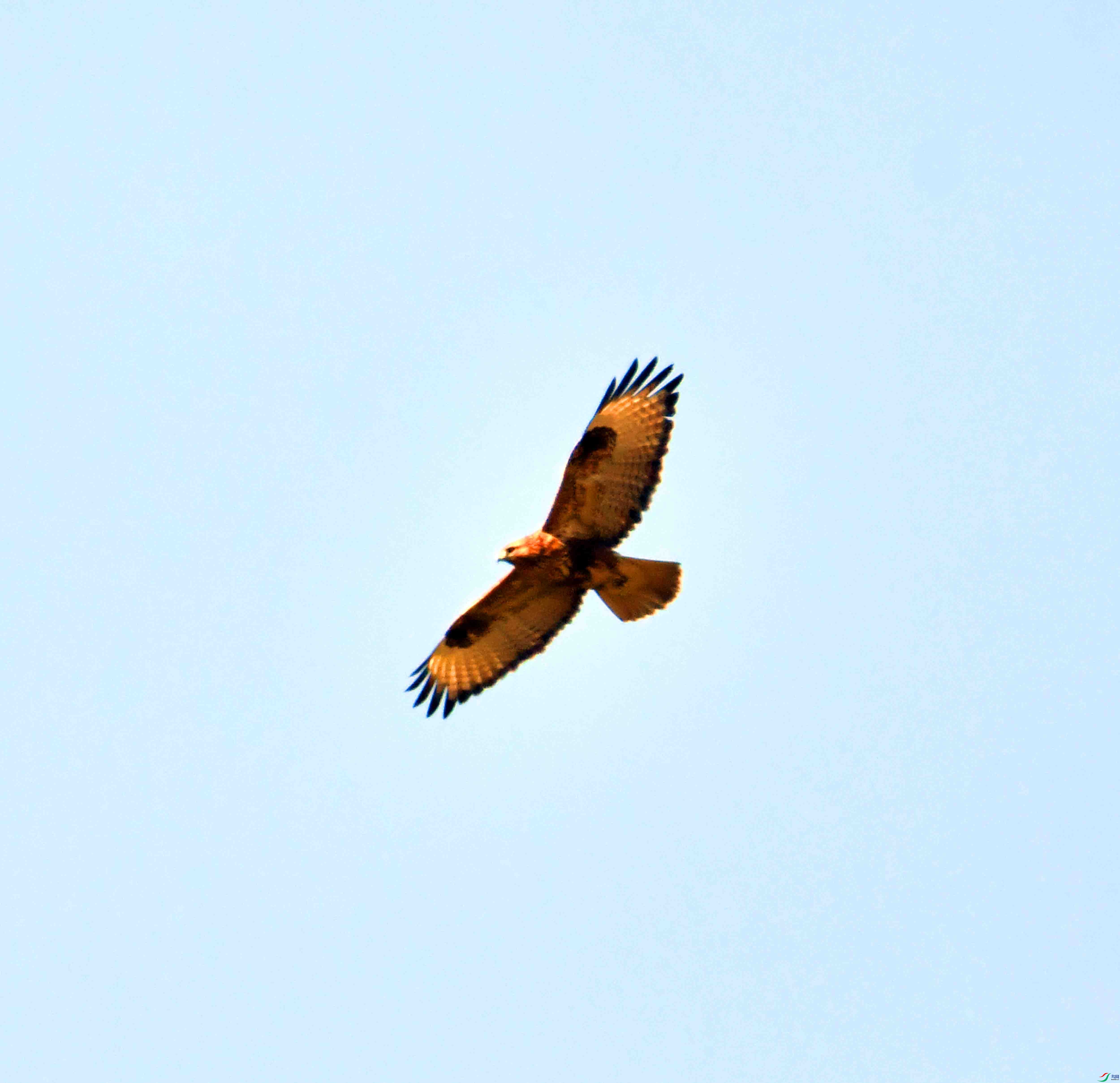 DSC_0353.JPG