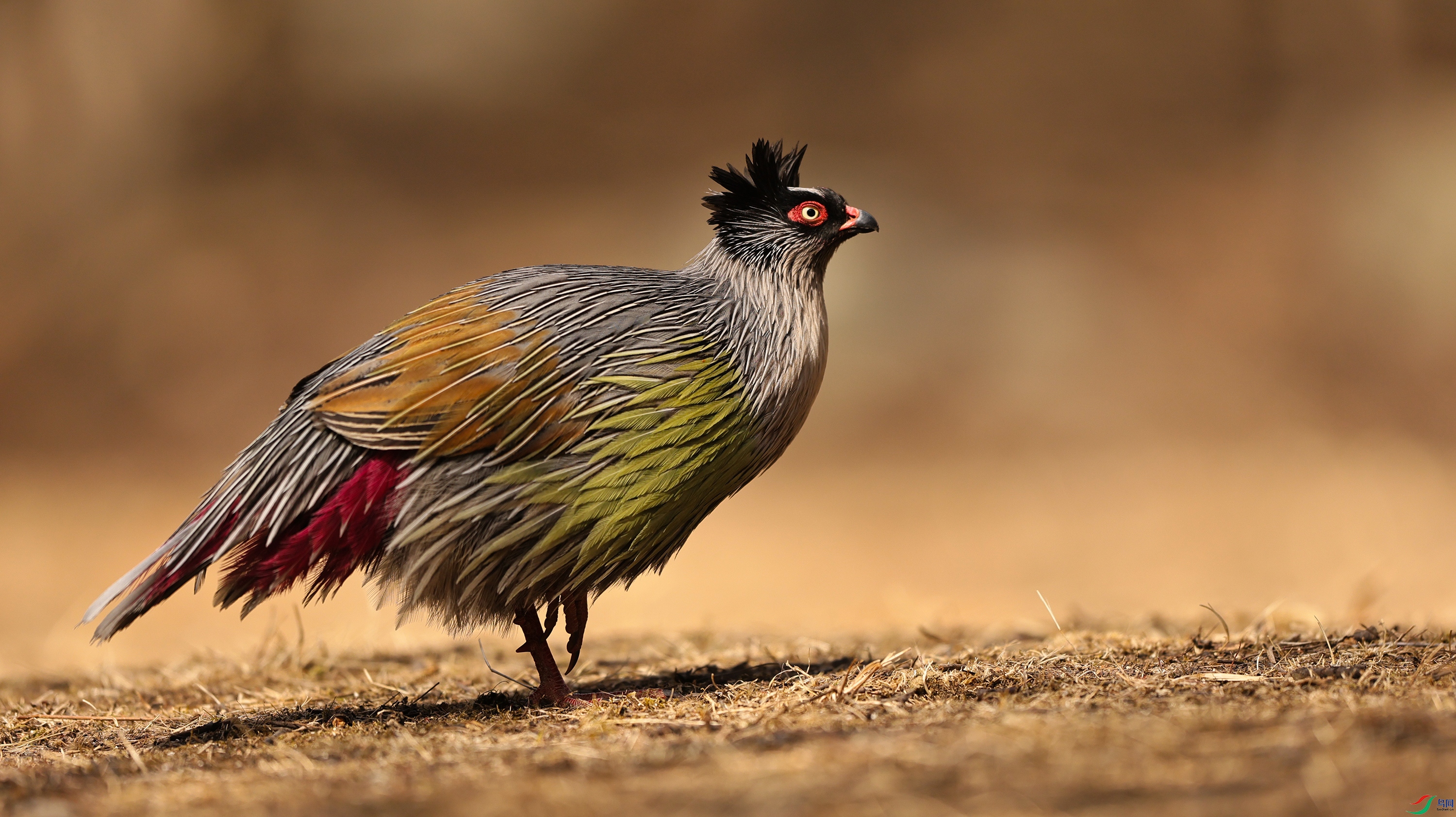 7X5A2465 ����000.jpg