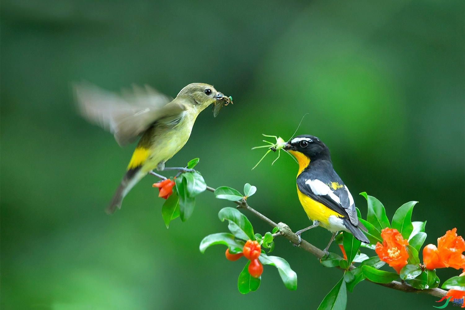 ��� ���� ͧ�� ��һ.jpg