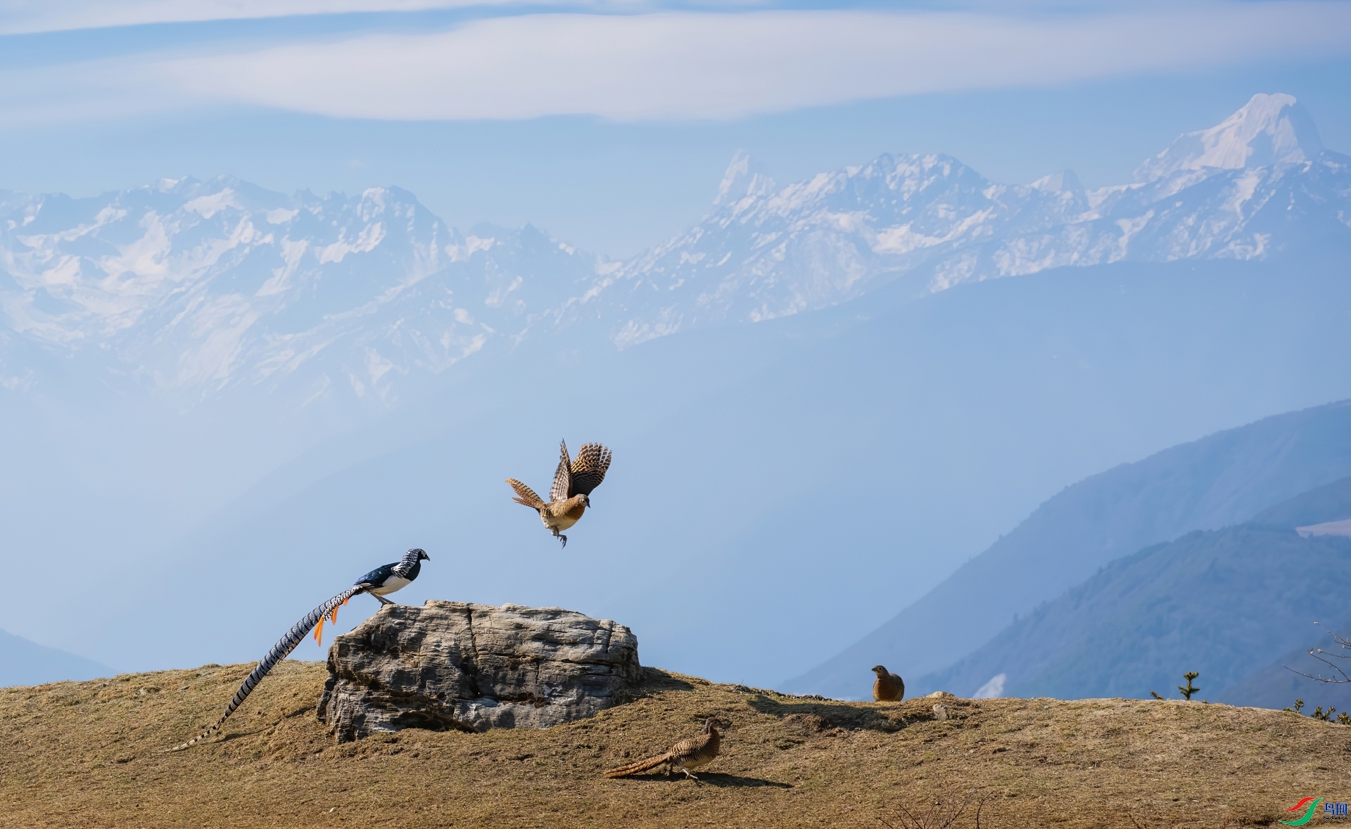 ѩɽ�µ���԰ ���� ��һ.jpg