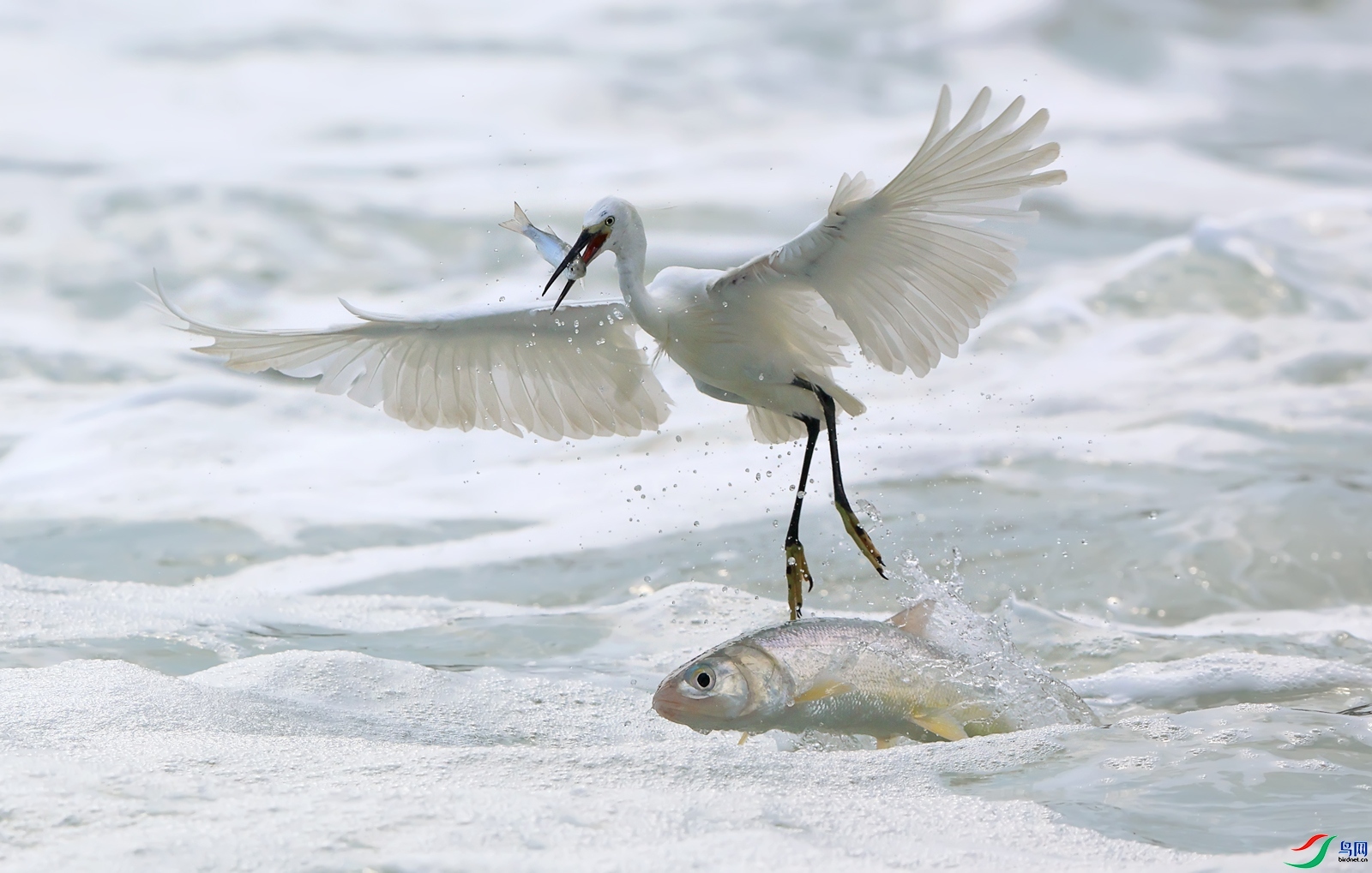 ������  ���� ��Ұ ��һ.jpg