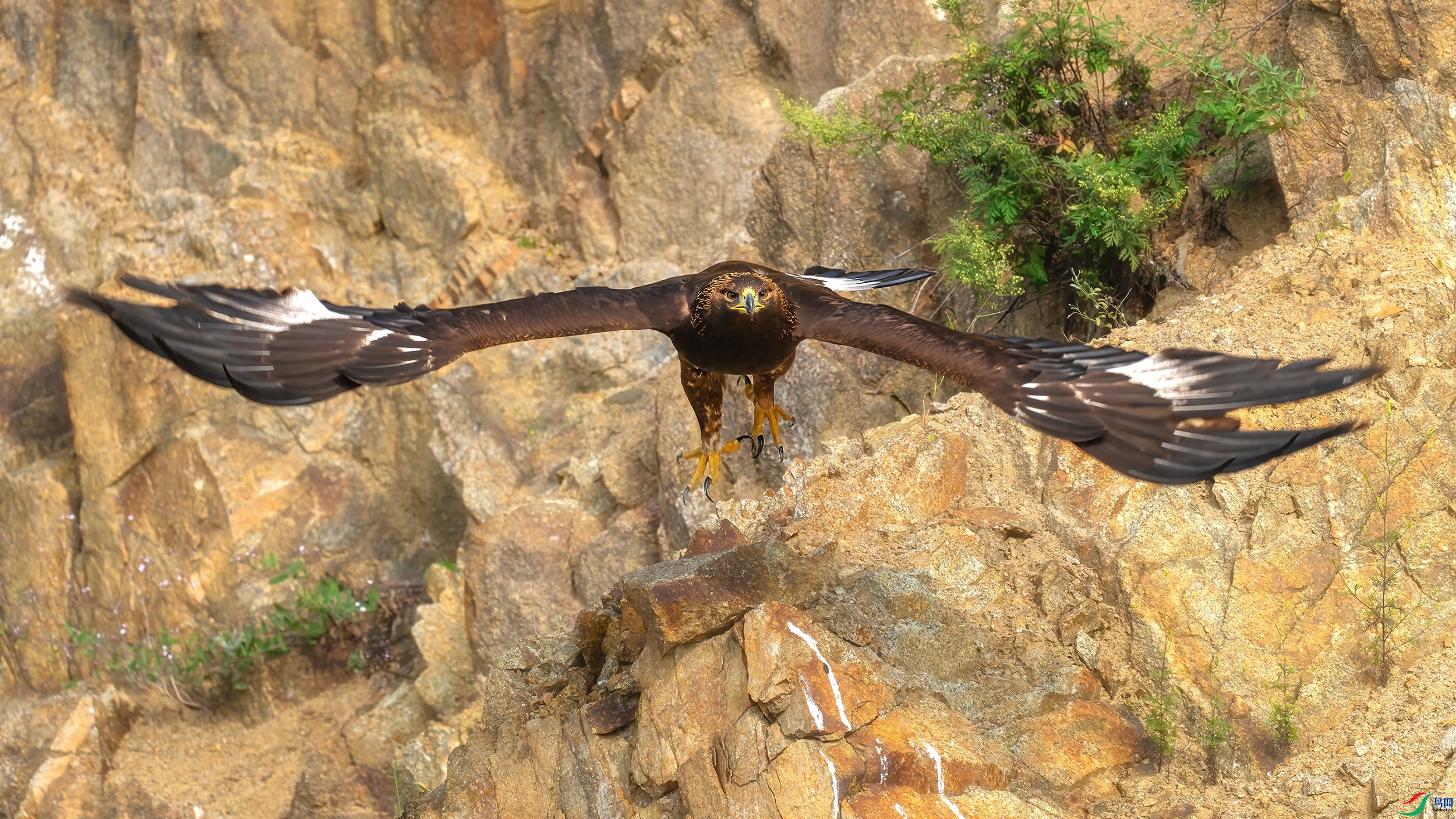 չ����� ���� С�׺� ��һ.jpg