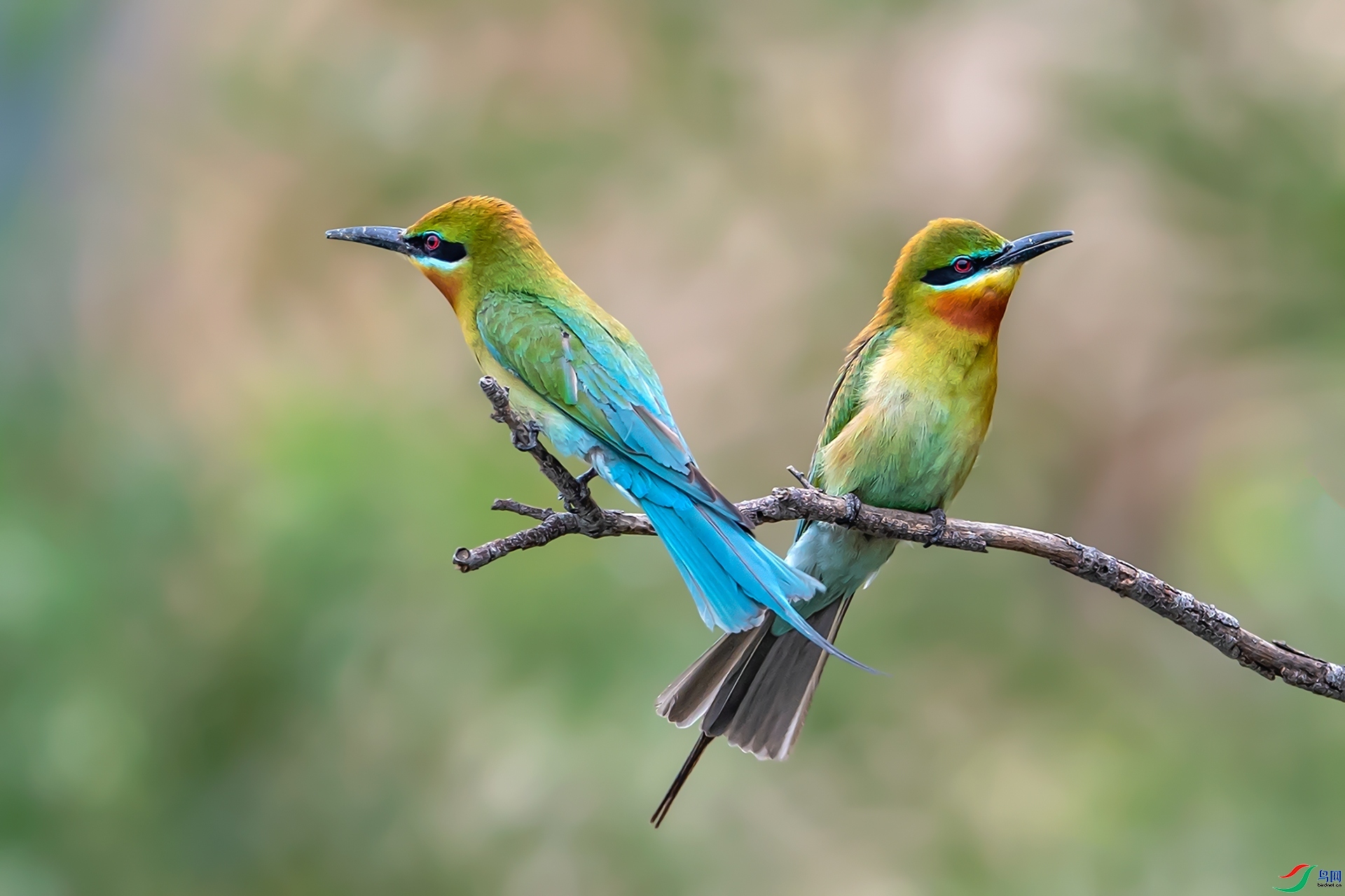 ��������  ���� ����ǿ ��һ.jpg