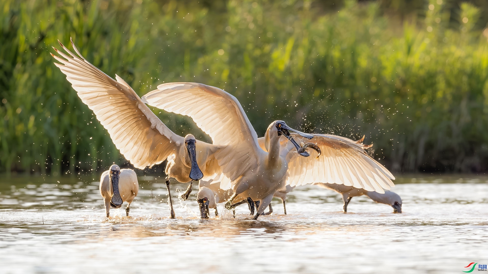 ��ռ�Ȼ�  ���� ɳ���Խ�  �ܶ�.jpg