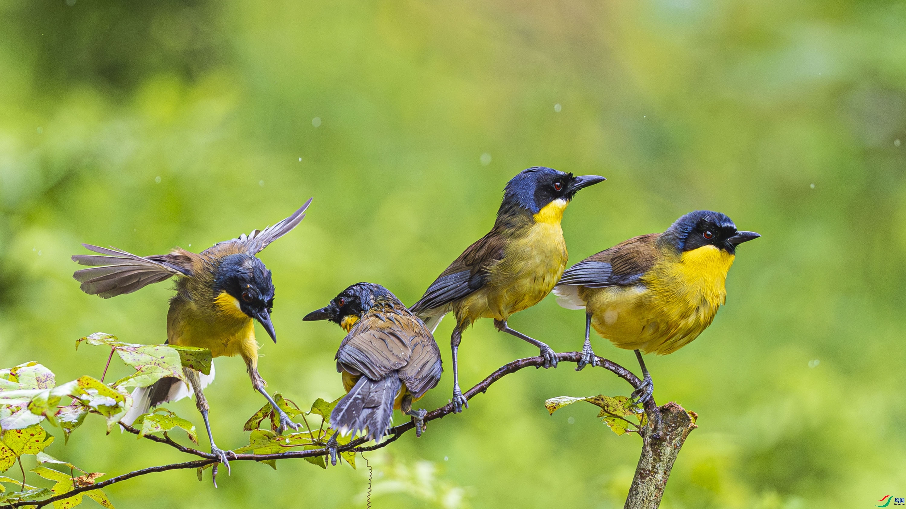 ������� ���� ������ �ܶ�.jpg