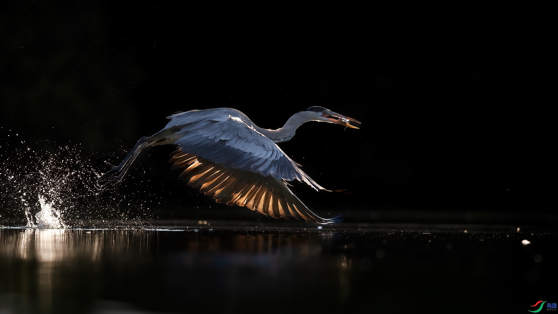 ��Ӱ���� ���� ƽ�� �ܶ�.jpg