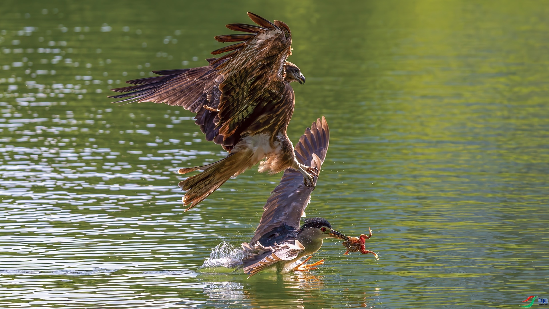 �����ҹ����ʳ  ���� ��ѧ�� �ܶ�.jpg