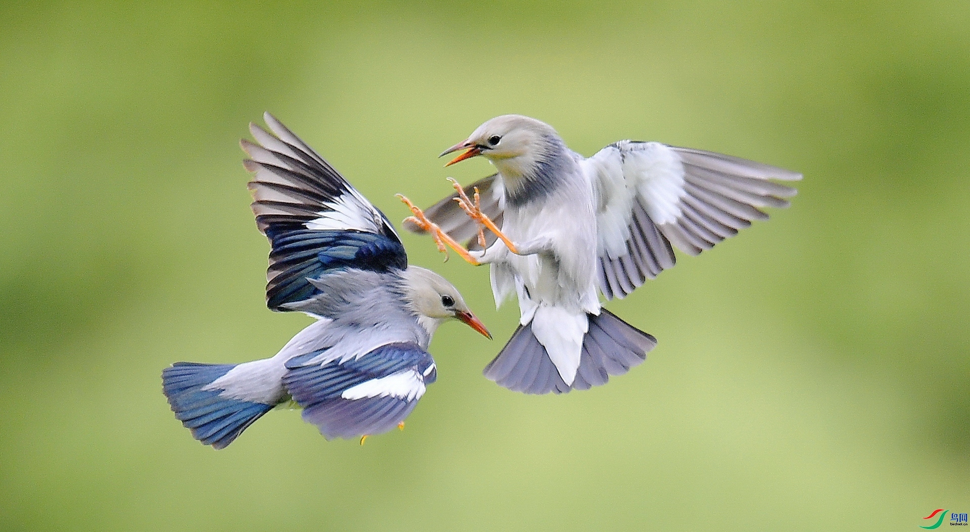 ˿�����  ���� ����뻳 �ܶ�.jpg