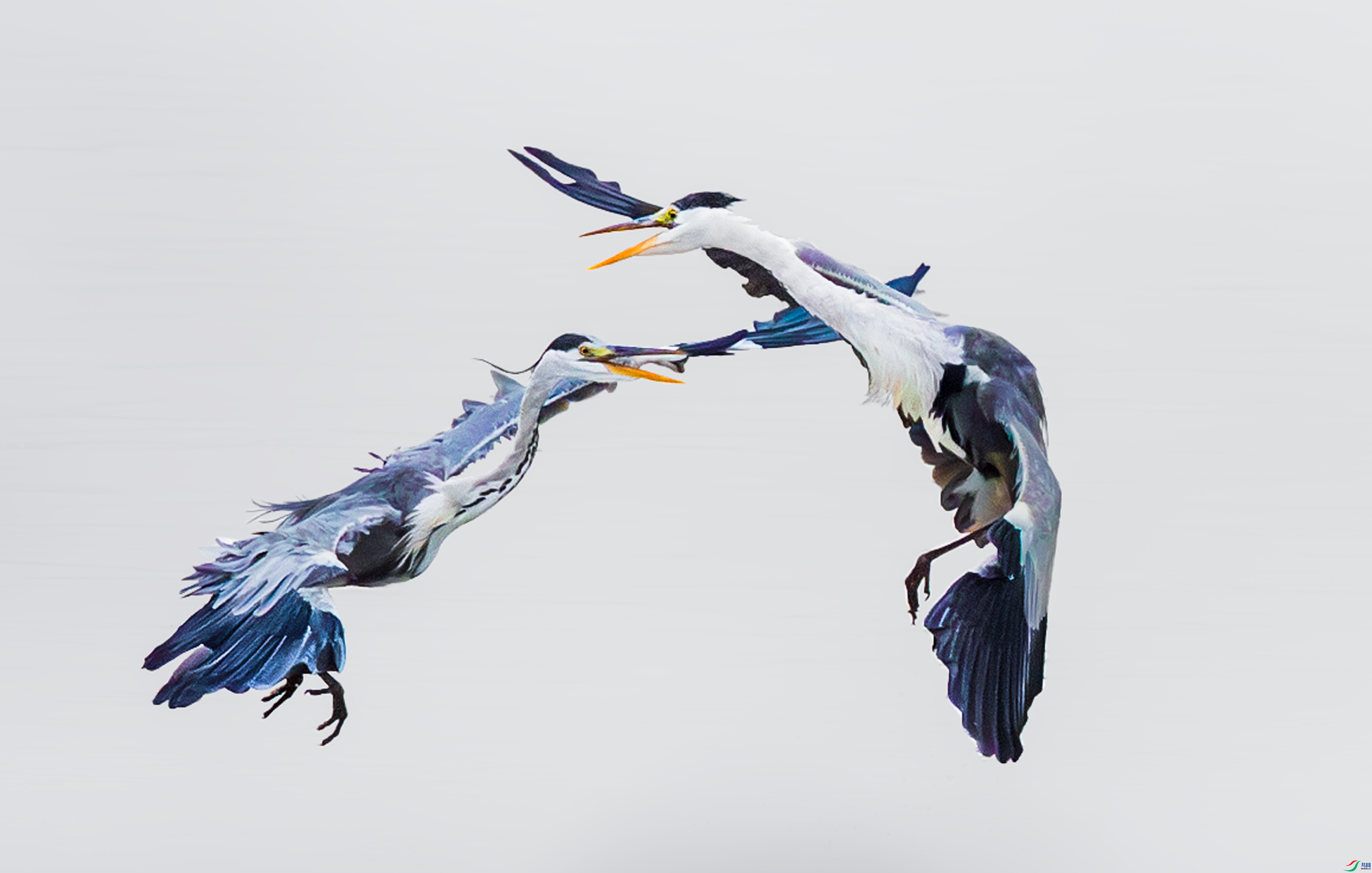 ������ ���� ���� ����.jpg