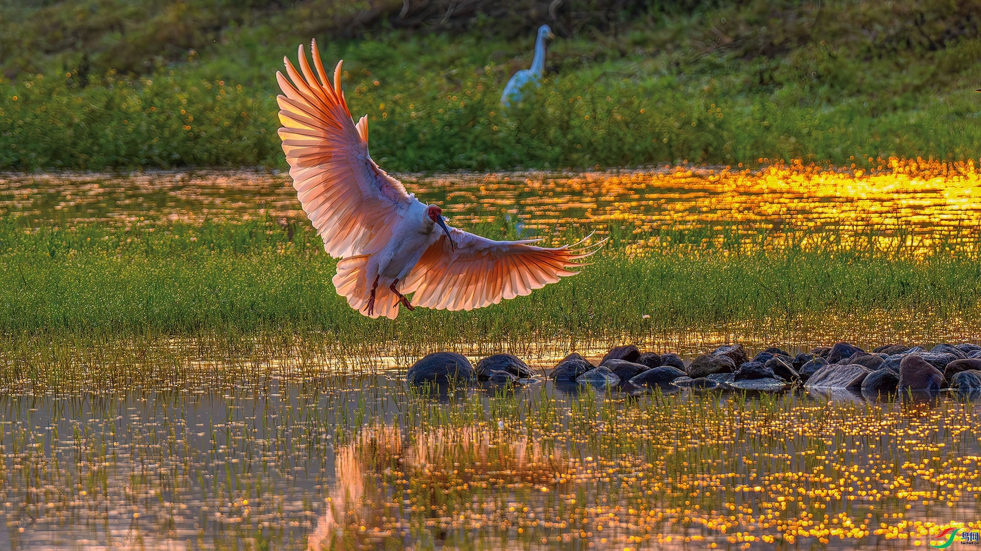 ���q ���� ��ѧ�� ����.jpg