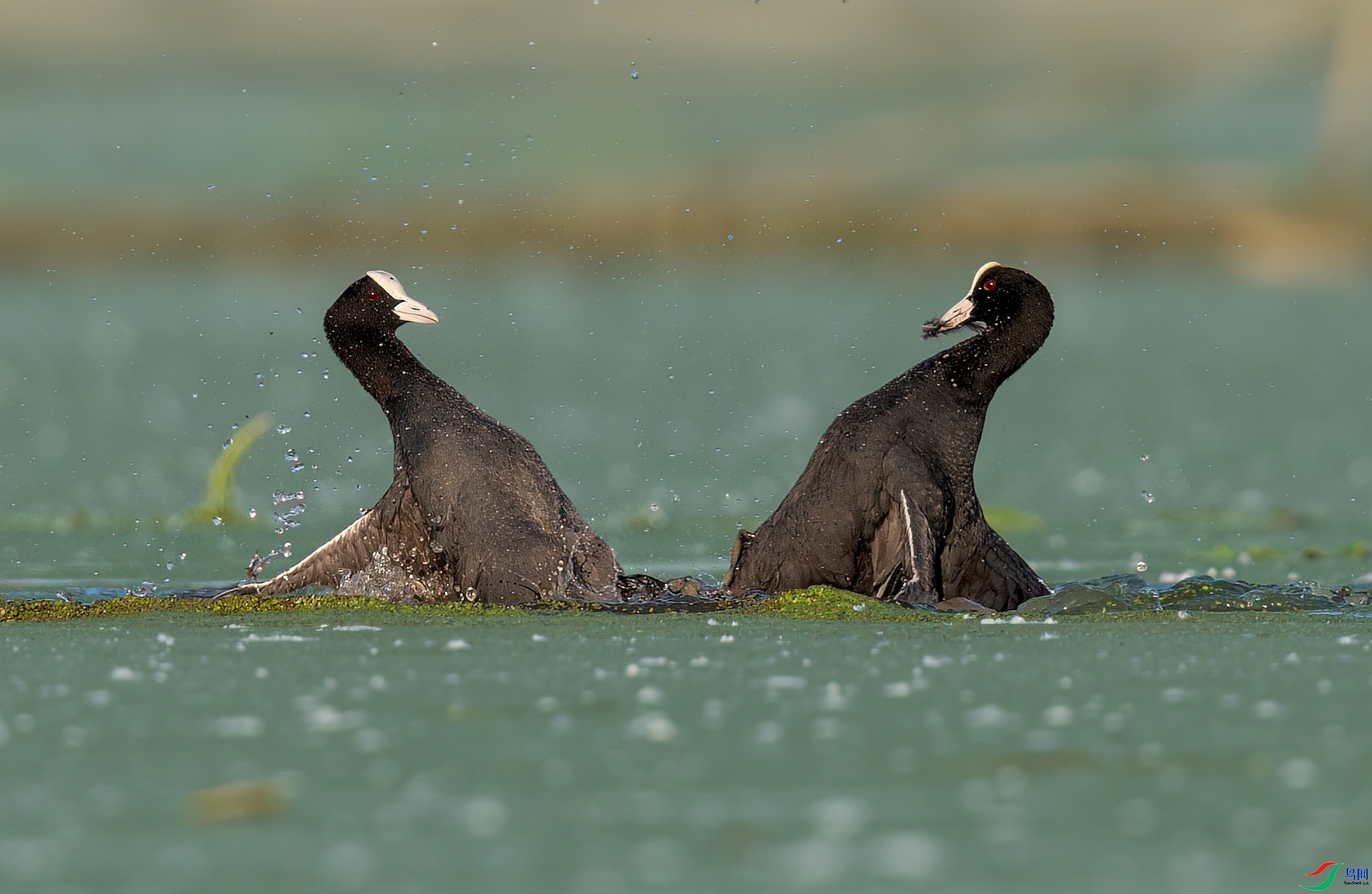 Сʤһ�غ� ���� һ·���� ����.jpg