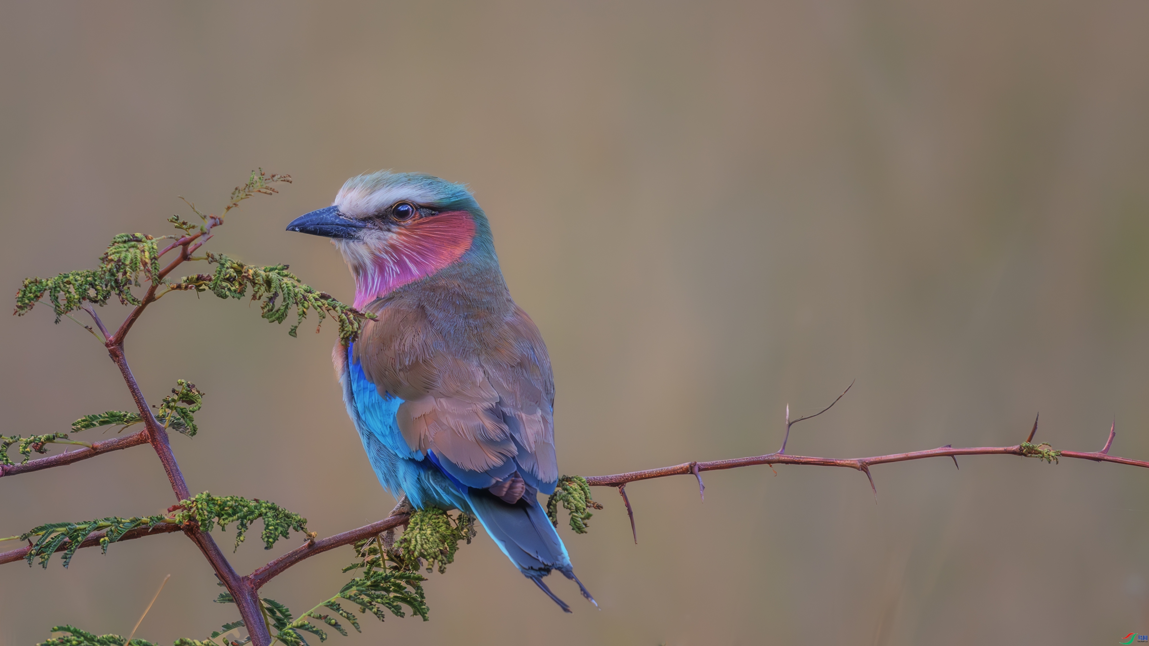 ���ط�ɮ  ���� ���� ����.jpg